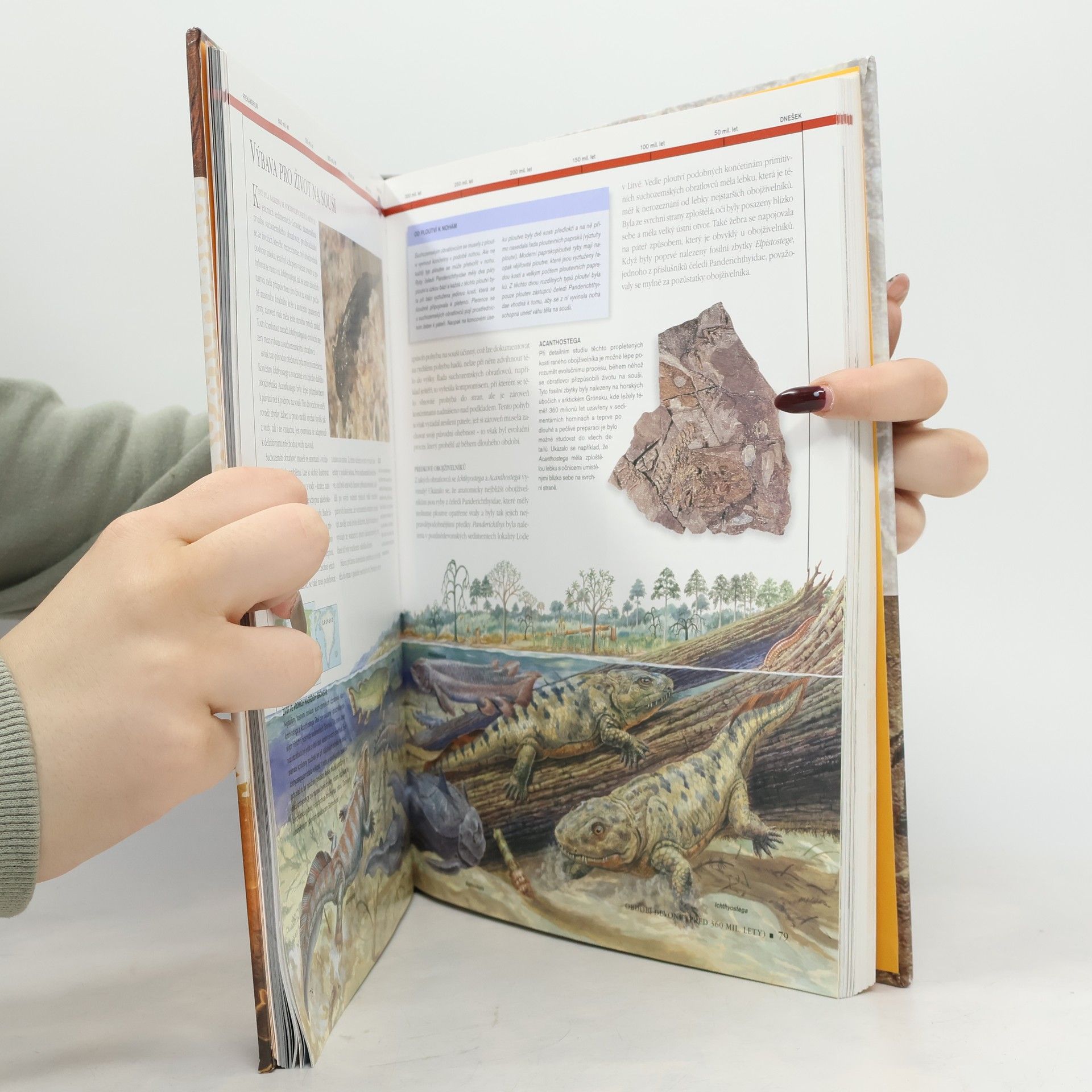 Douglas Palmer Prehistorický atlas - Vývoj planety Země