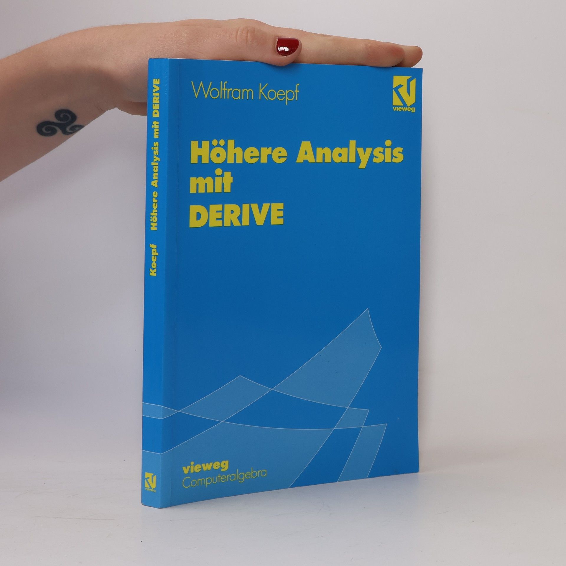 Wolfram Koepf Höhere Analysis mit DERIVE