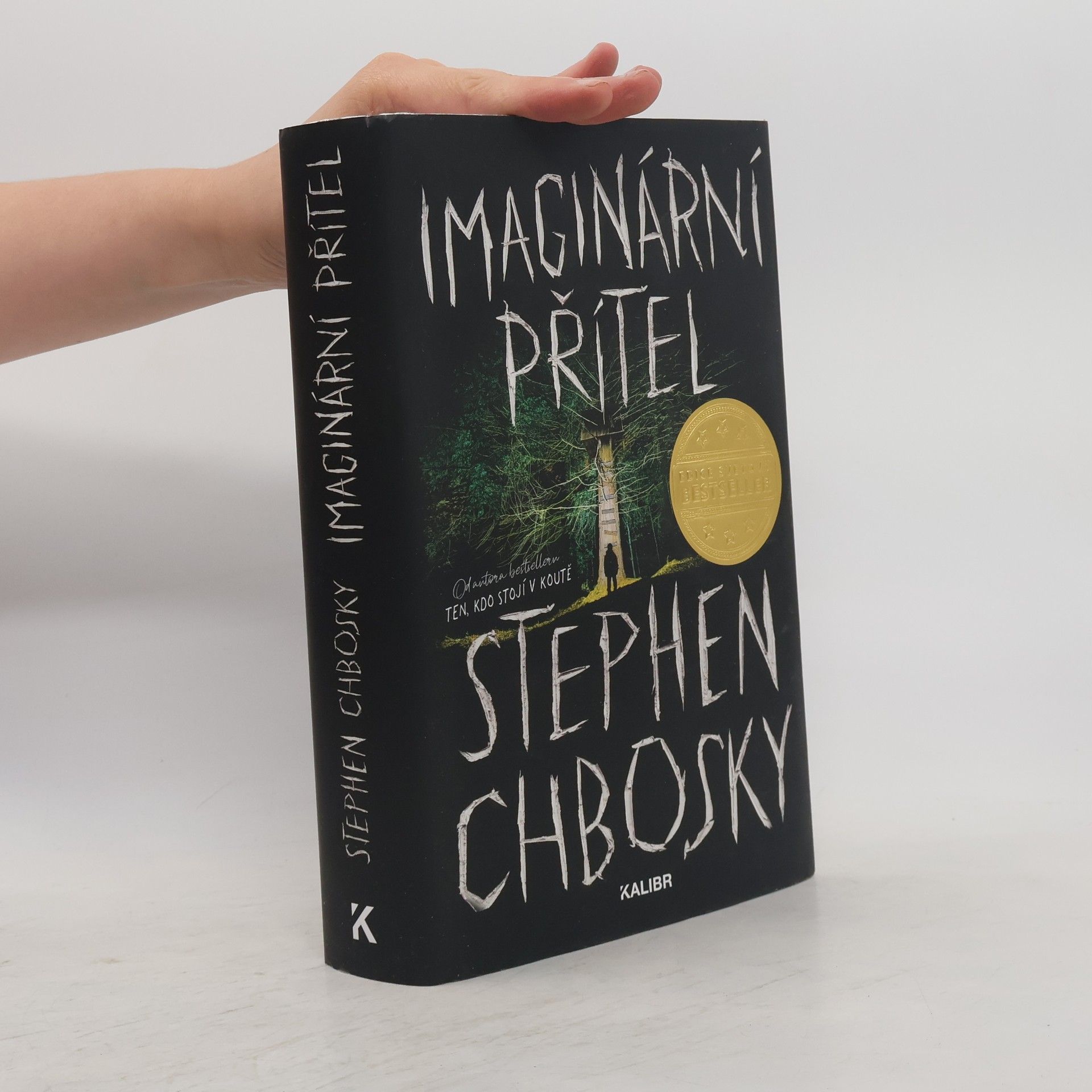 Stephen Chbosky Imaginární přítel