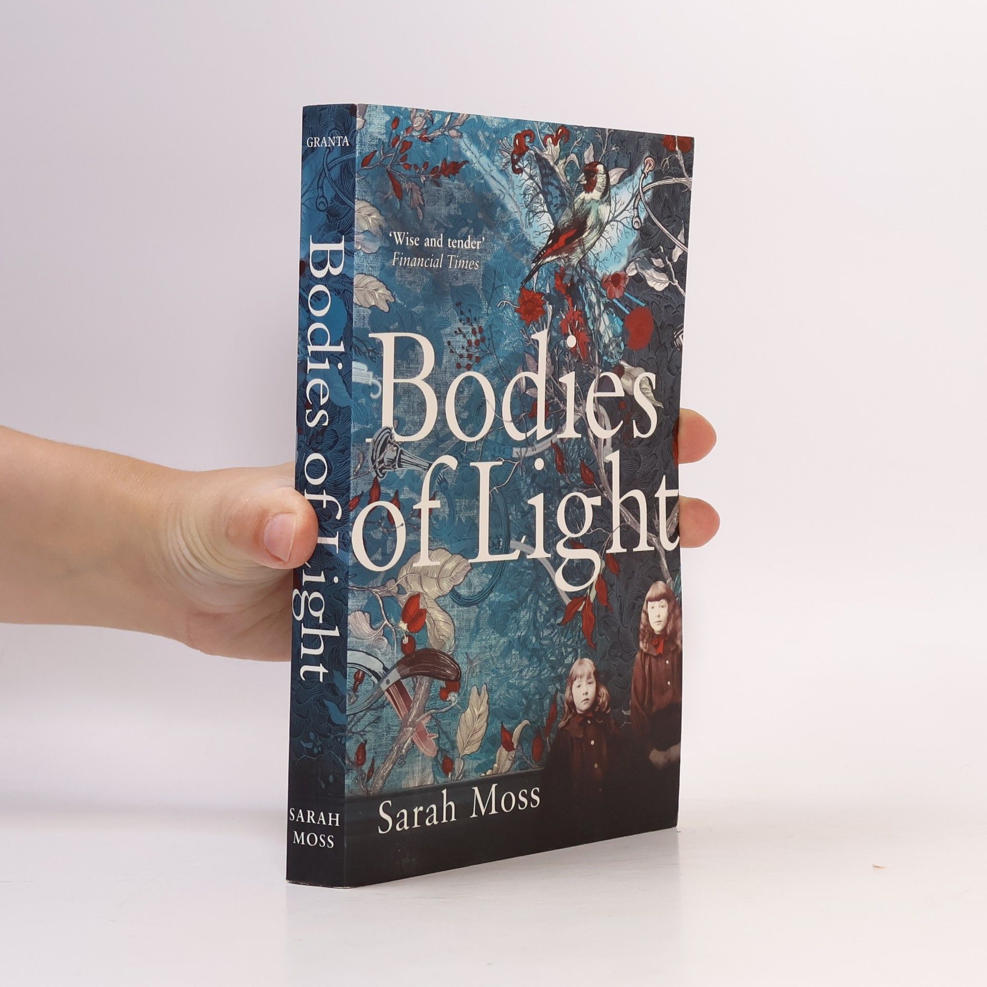 Sarah Moss Bodies of Light