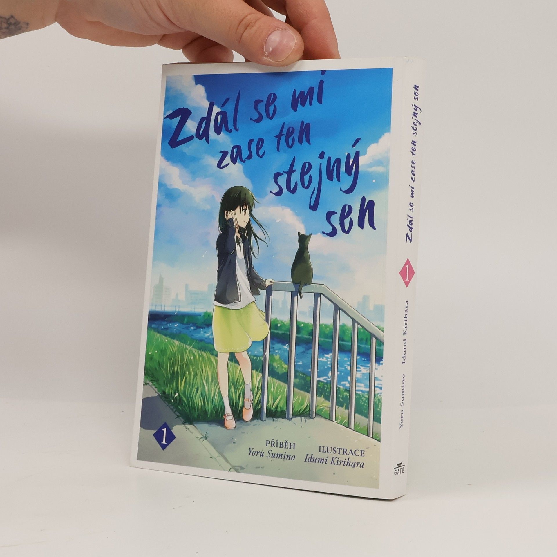 Joru Sumino Zdál se mi zase ten stejný sen 1