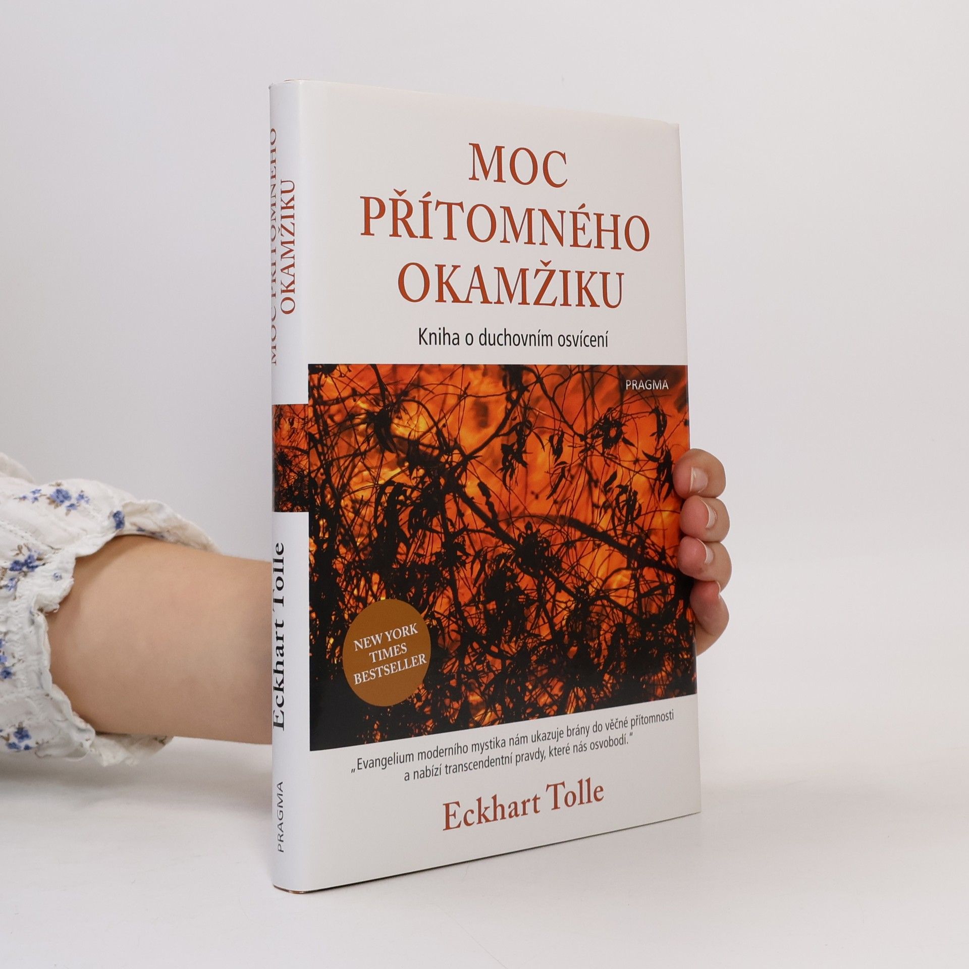 Eckhart Tolle Moc přítomného okamžiku