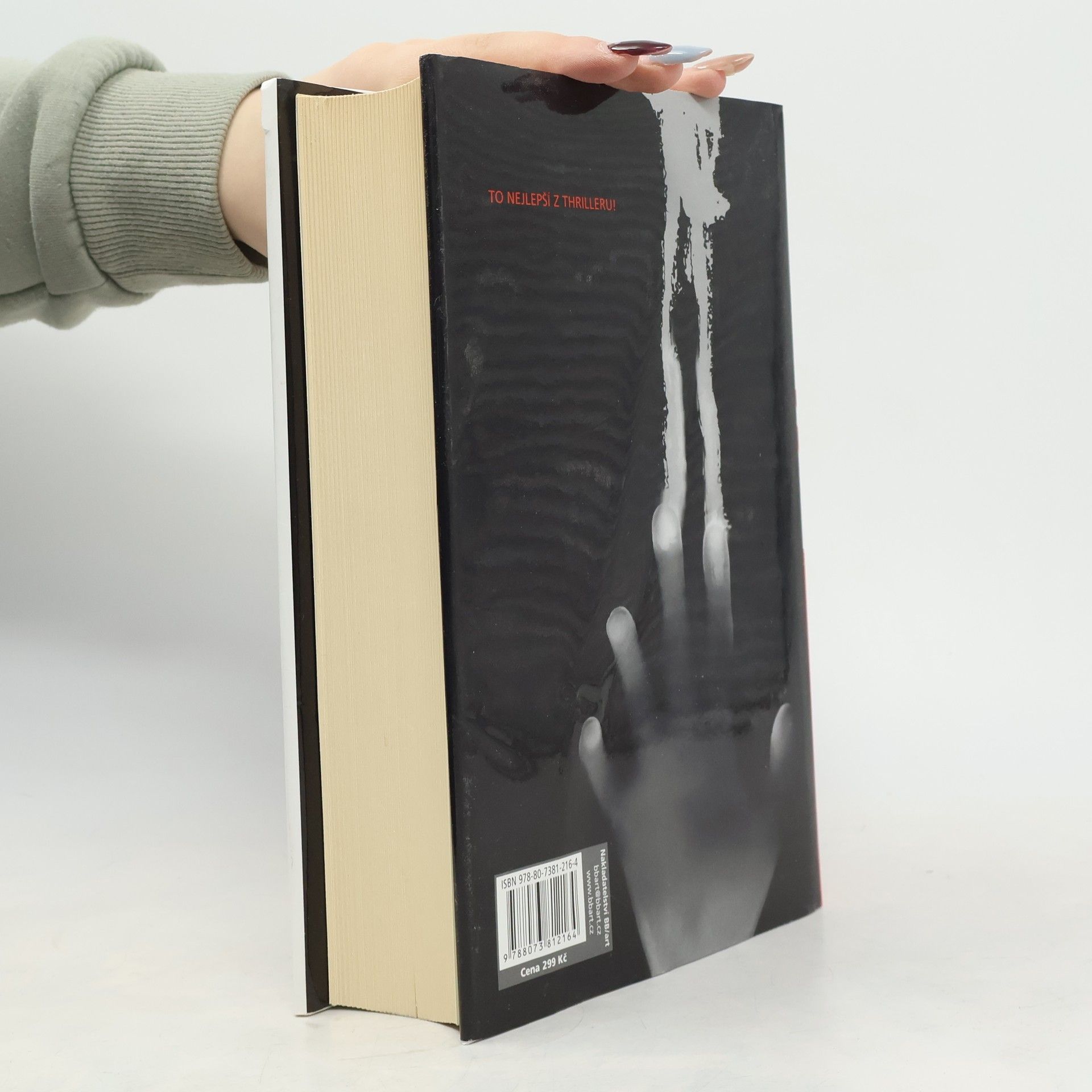 Ted Bell Thriller