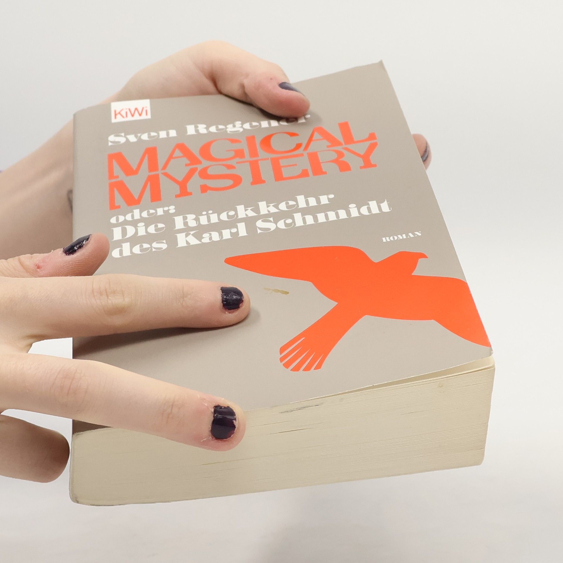Sven Regener Magical Mystery oder: die Rückkehr des Karl Schmidt