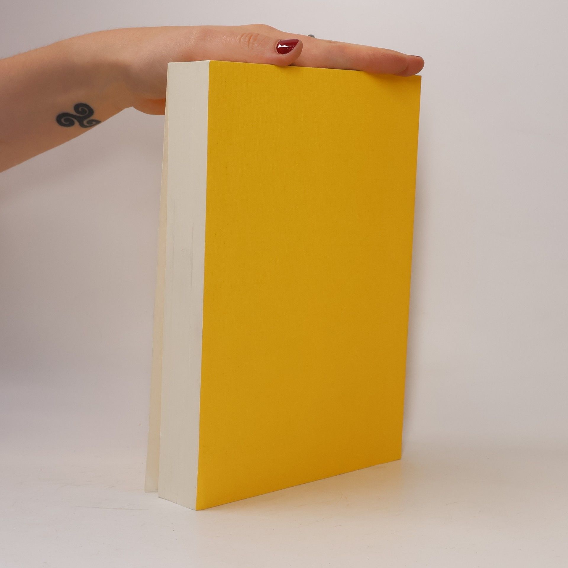 Walter Platzer Buchhaltungs- und Bilanzierungs-Handbuch