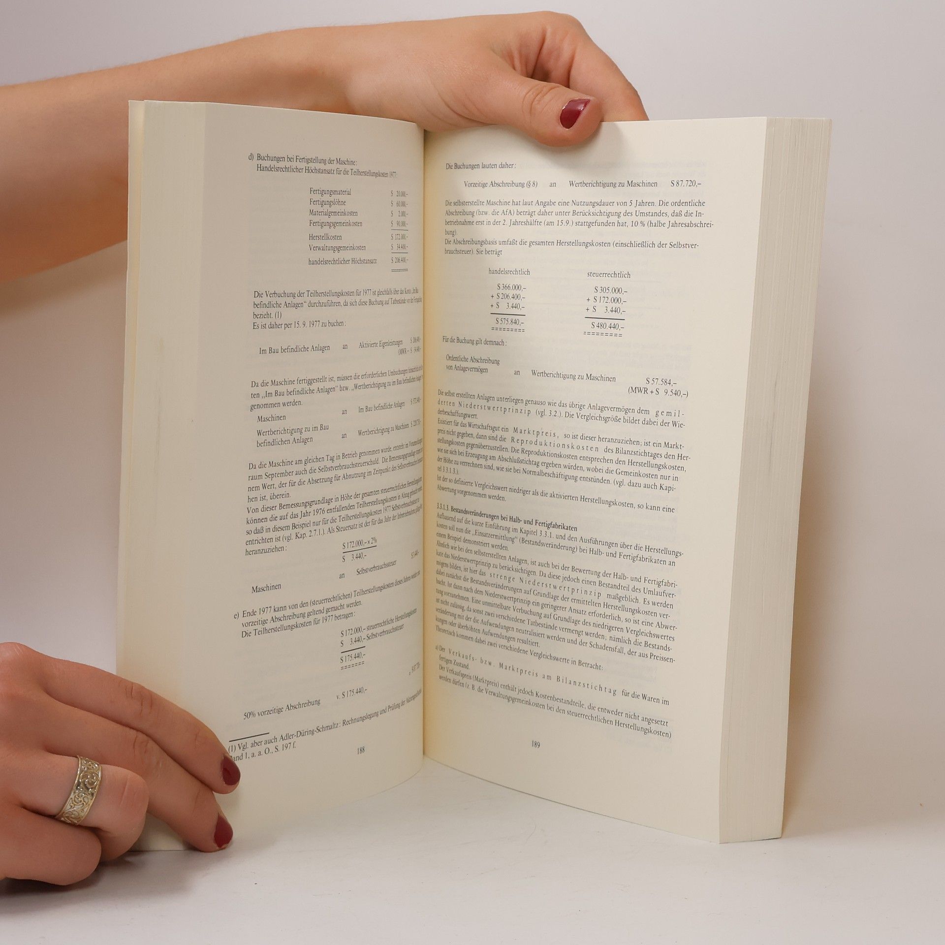 Walter Platzer Buchhaltungs- und Bilanzierungs-Handbuch