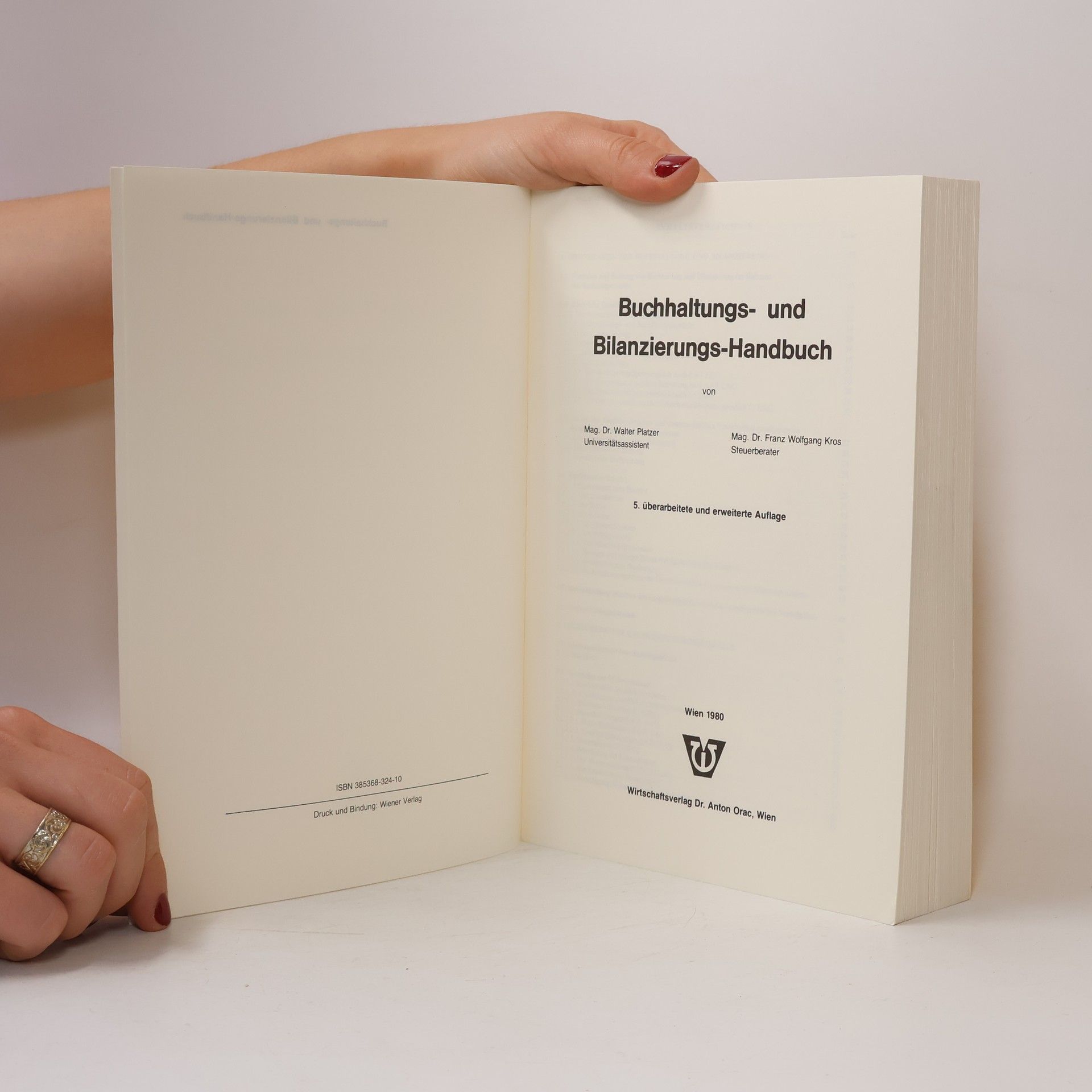 Walter Platzer Buchhaltungs- und Bilanzierungs-Handbuch