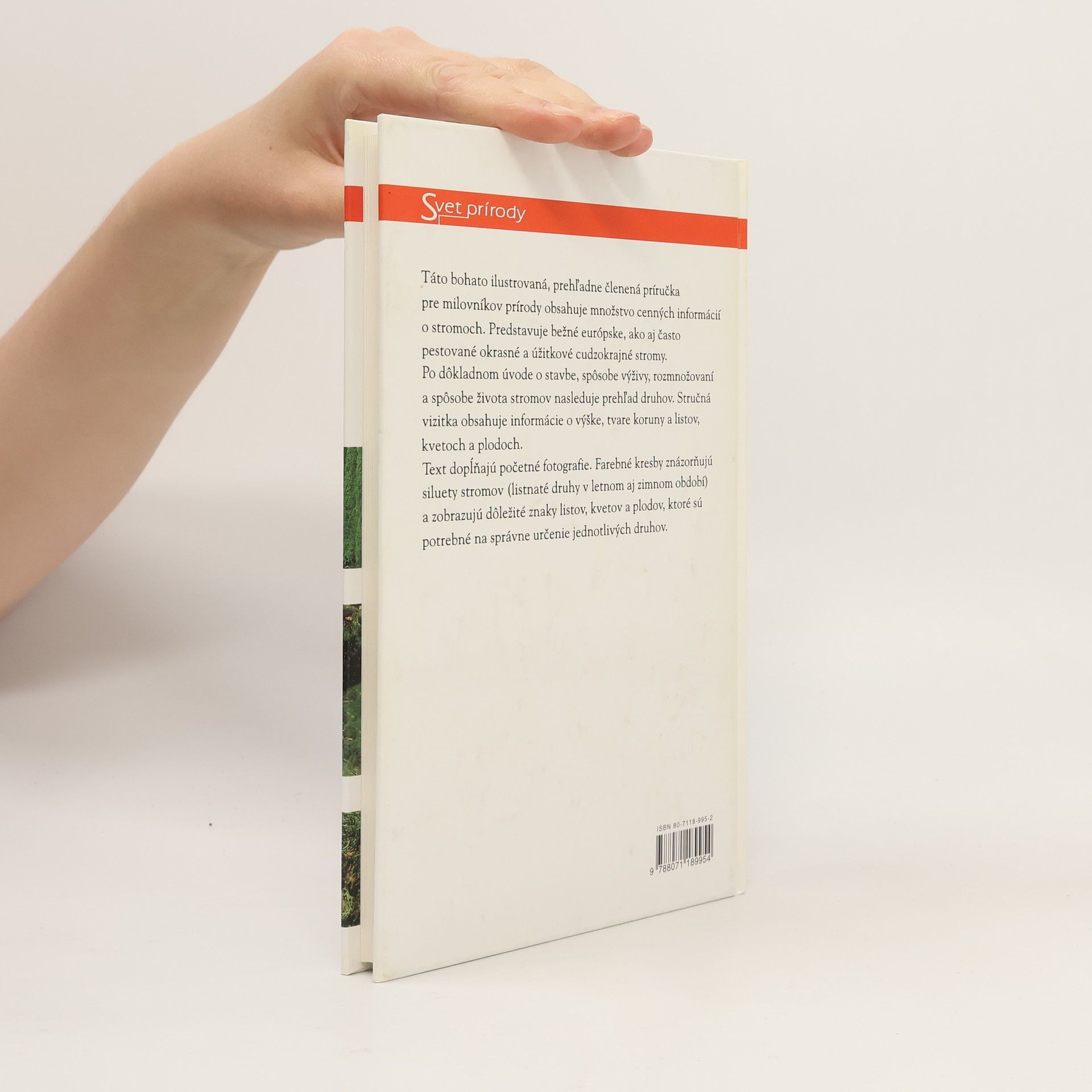 Autorenkollektiv Stromy v záhradách, v parkoch a vo voľnej prírode