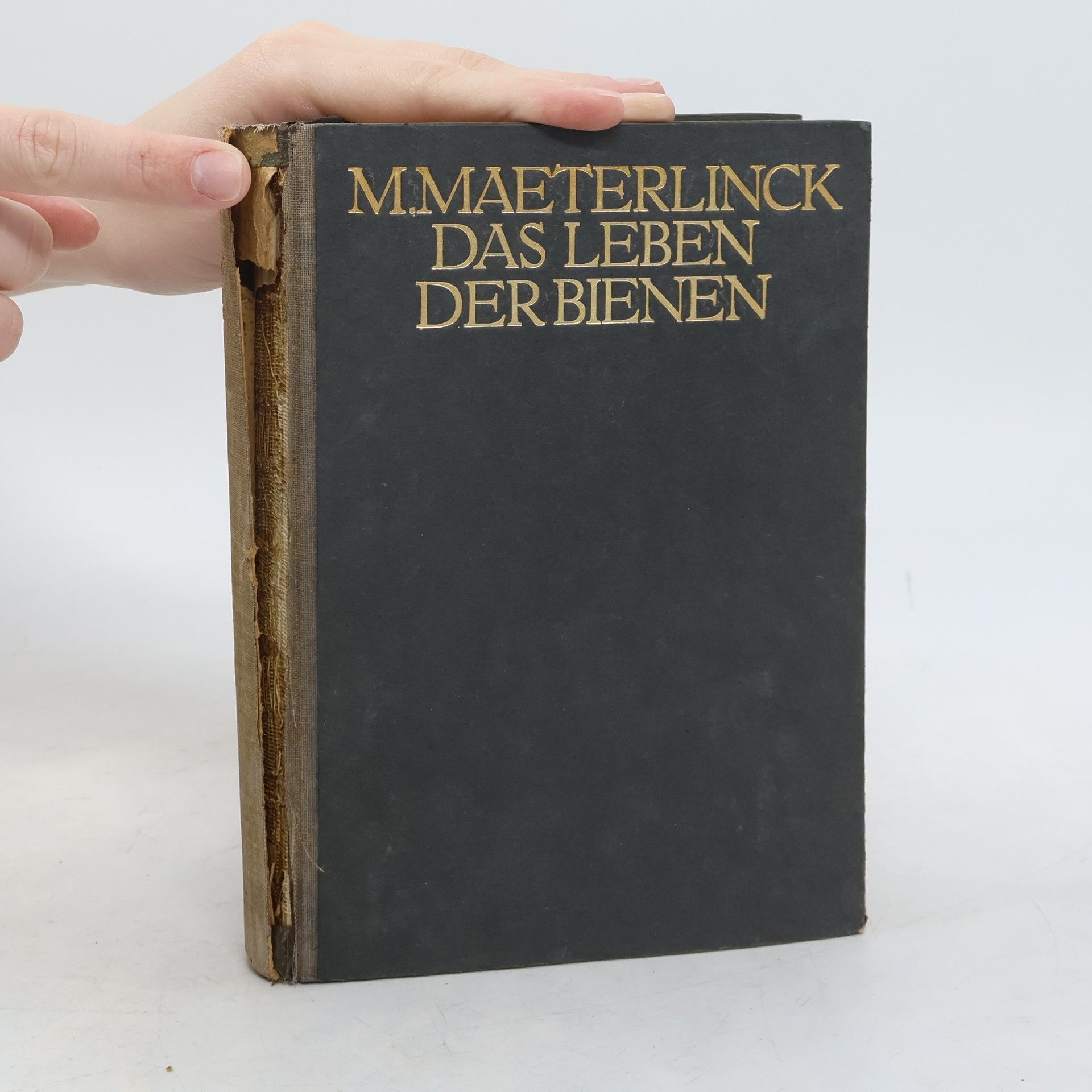 Maurice Maeterlinck Das leben der Bienen