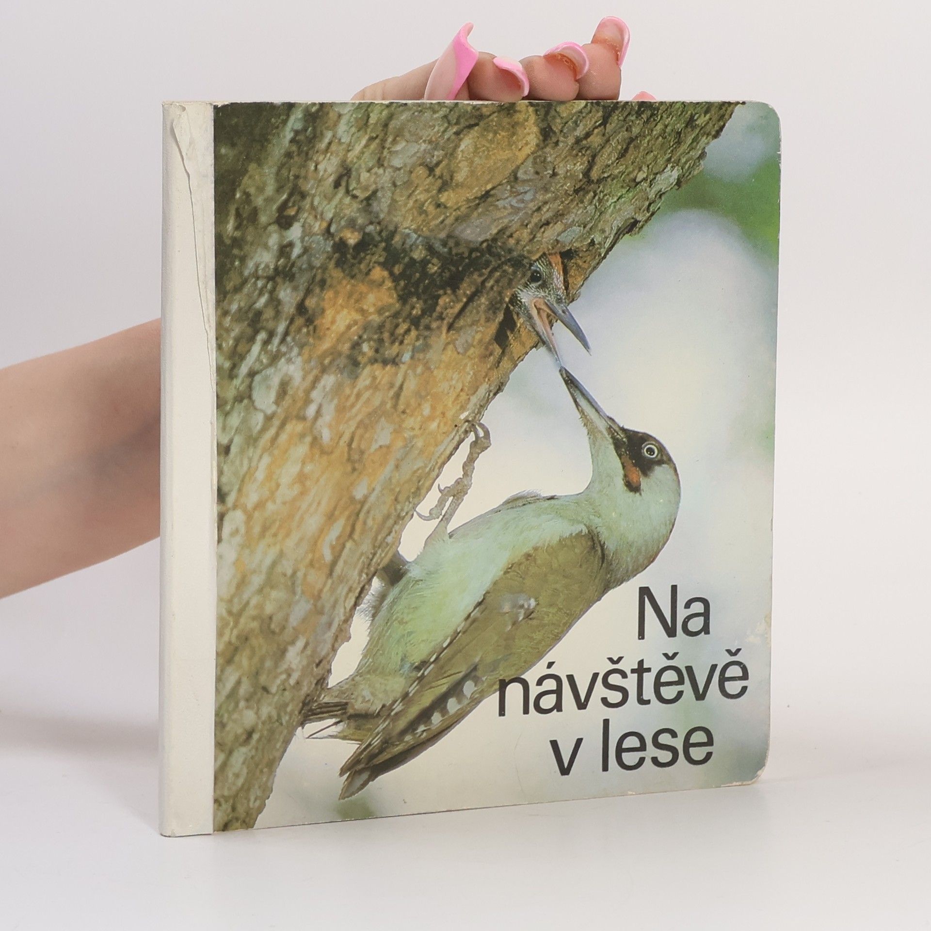 Auteurscollectief Na návštěvě v lese