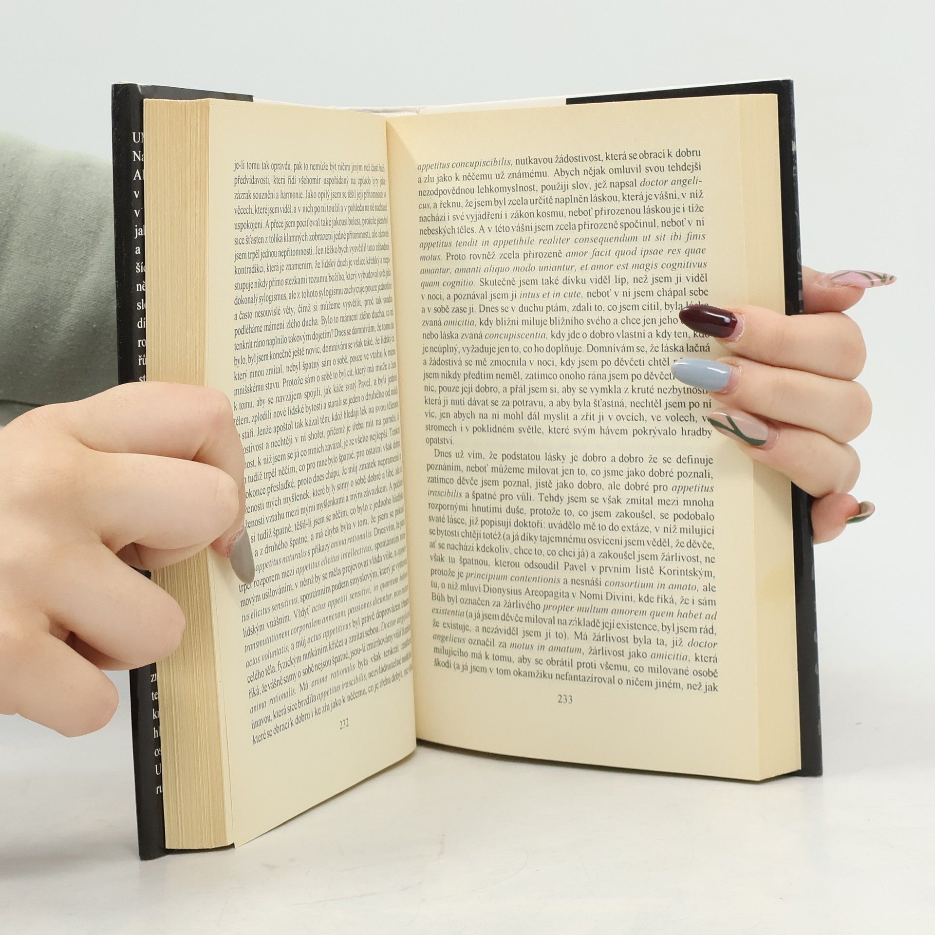 Umberto Eco Jméno růže