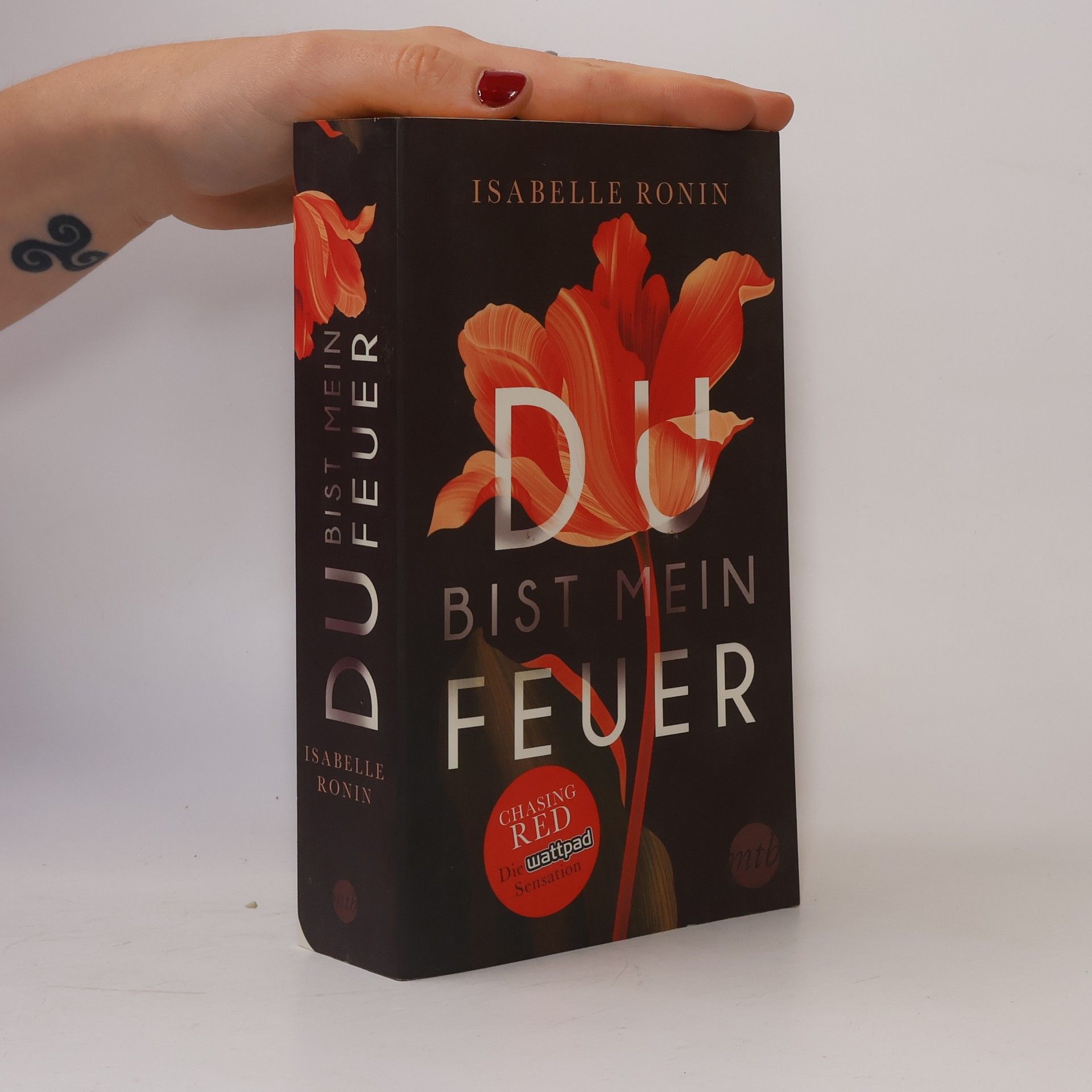Isabelle Ronin Du bist mein Feuer