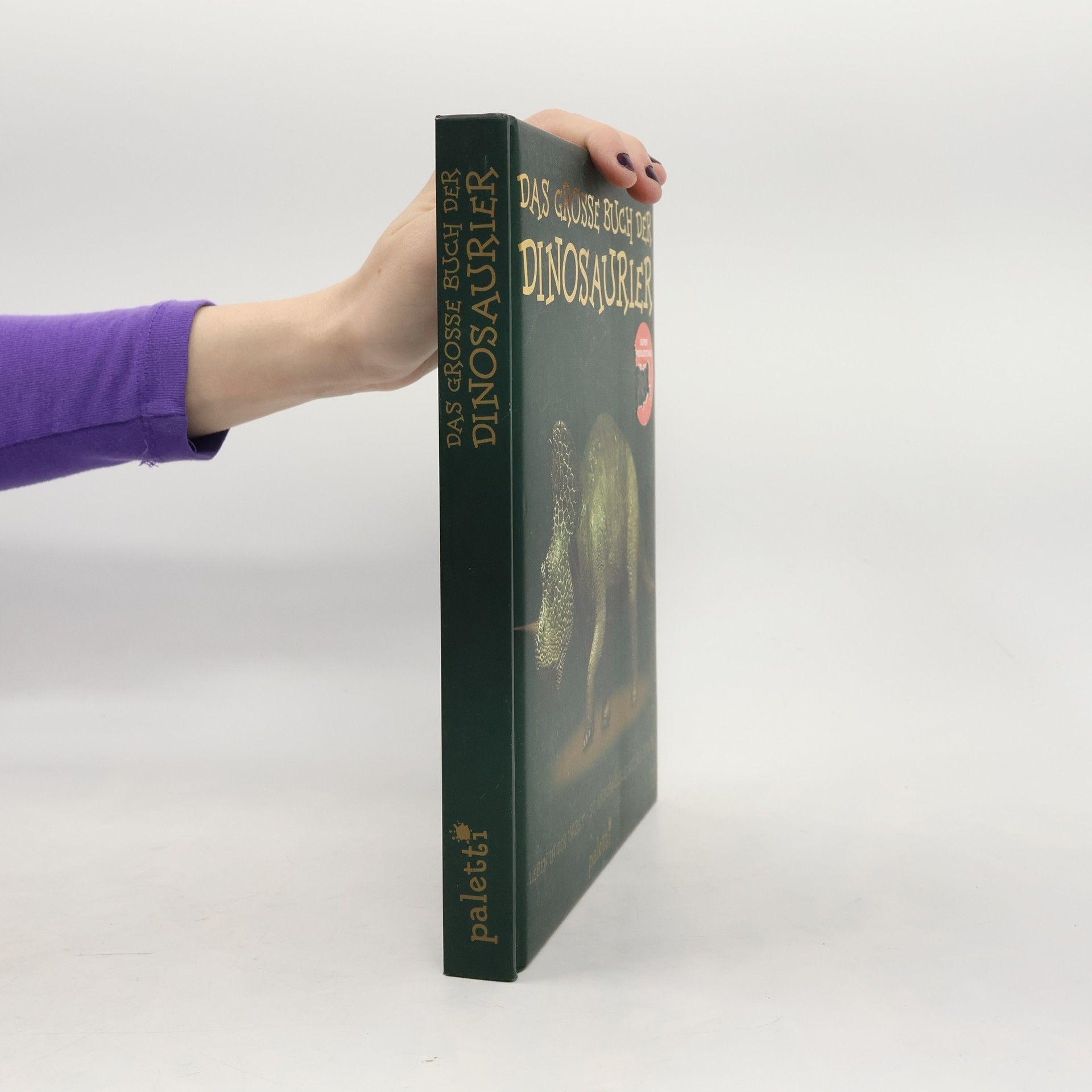 Auteurscollectief Das Grosse Buch der Dinosaurier