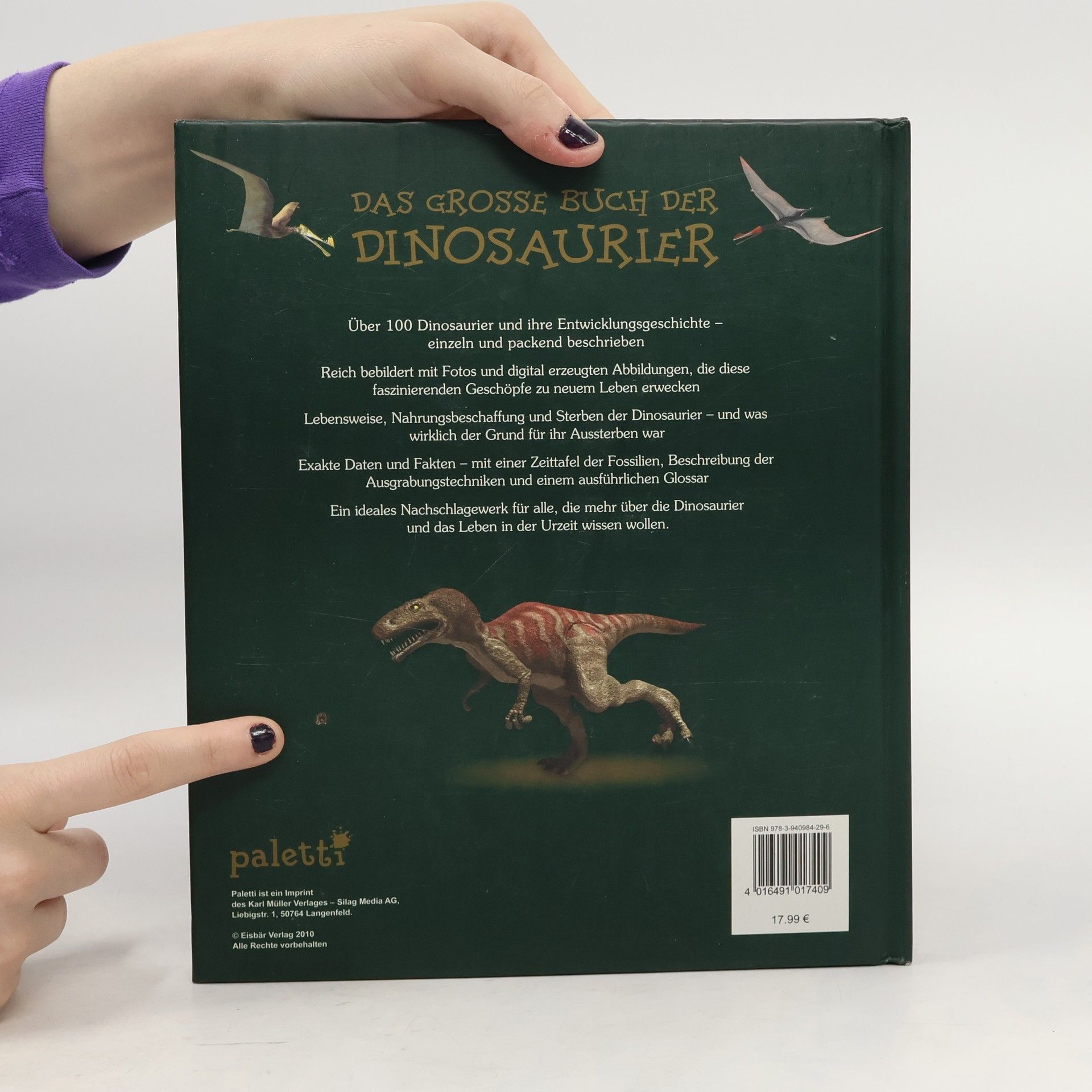 Auteurscollectief Das Grosse Buch der Dinosaurier