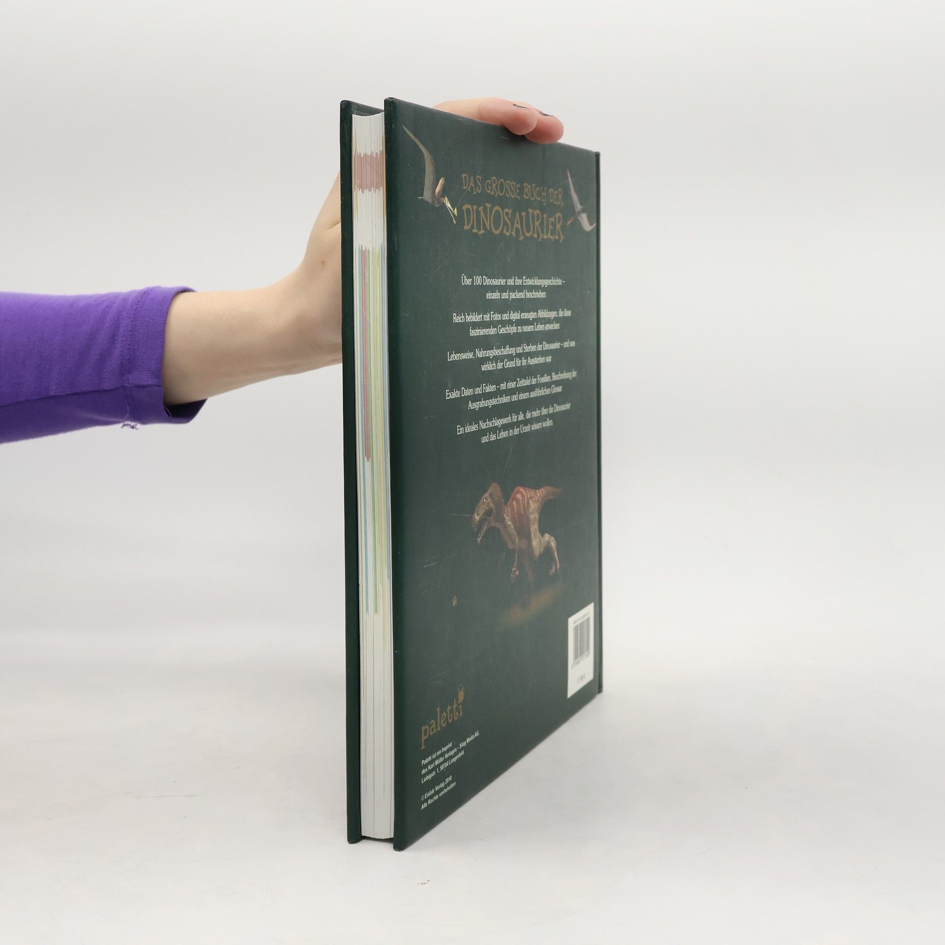 Auteurscollectief Das Grosse Buch der Dinosaurier