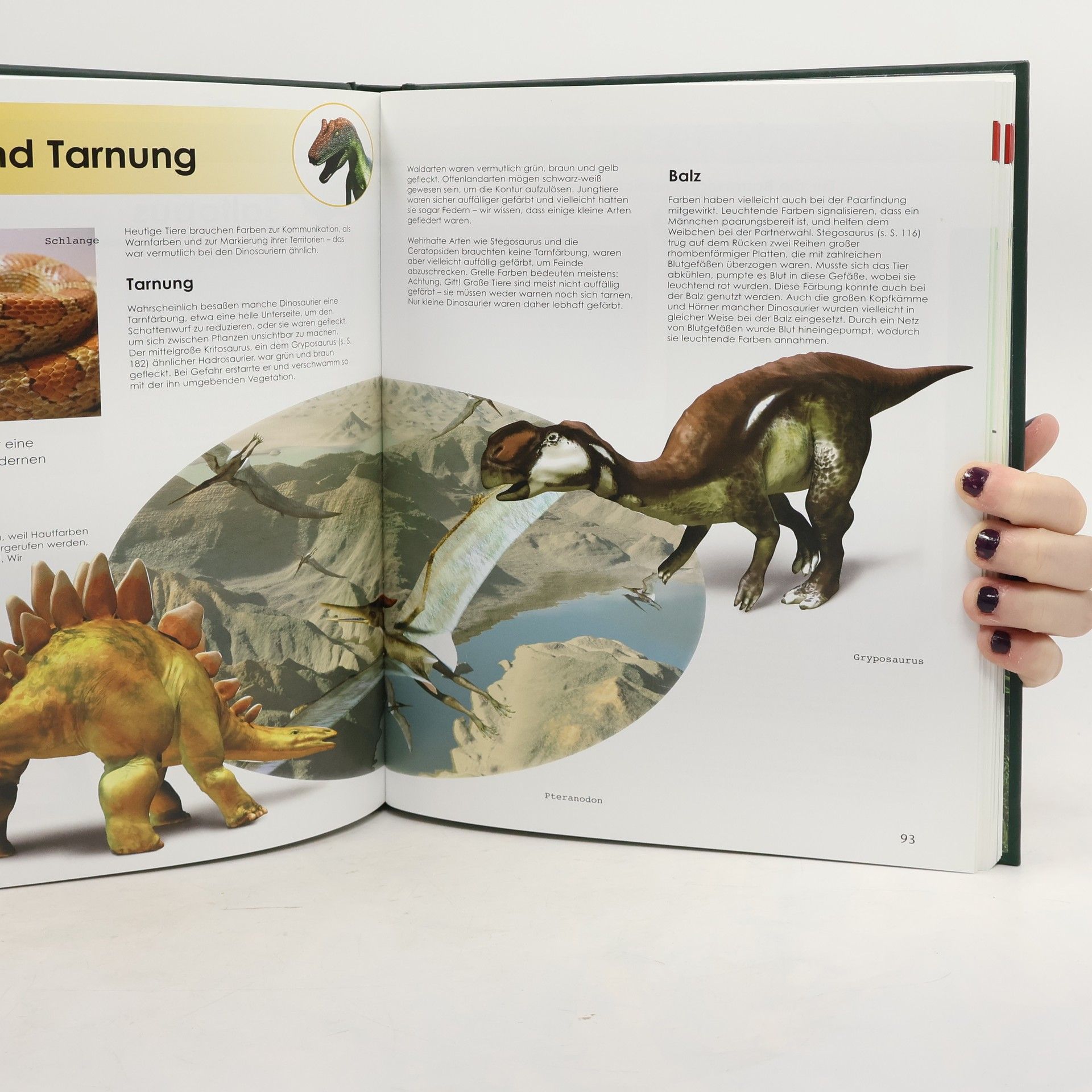 Auteurscollectief Das Grosse Buch der Dinosaurier