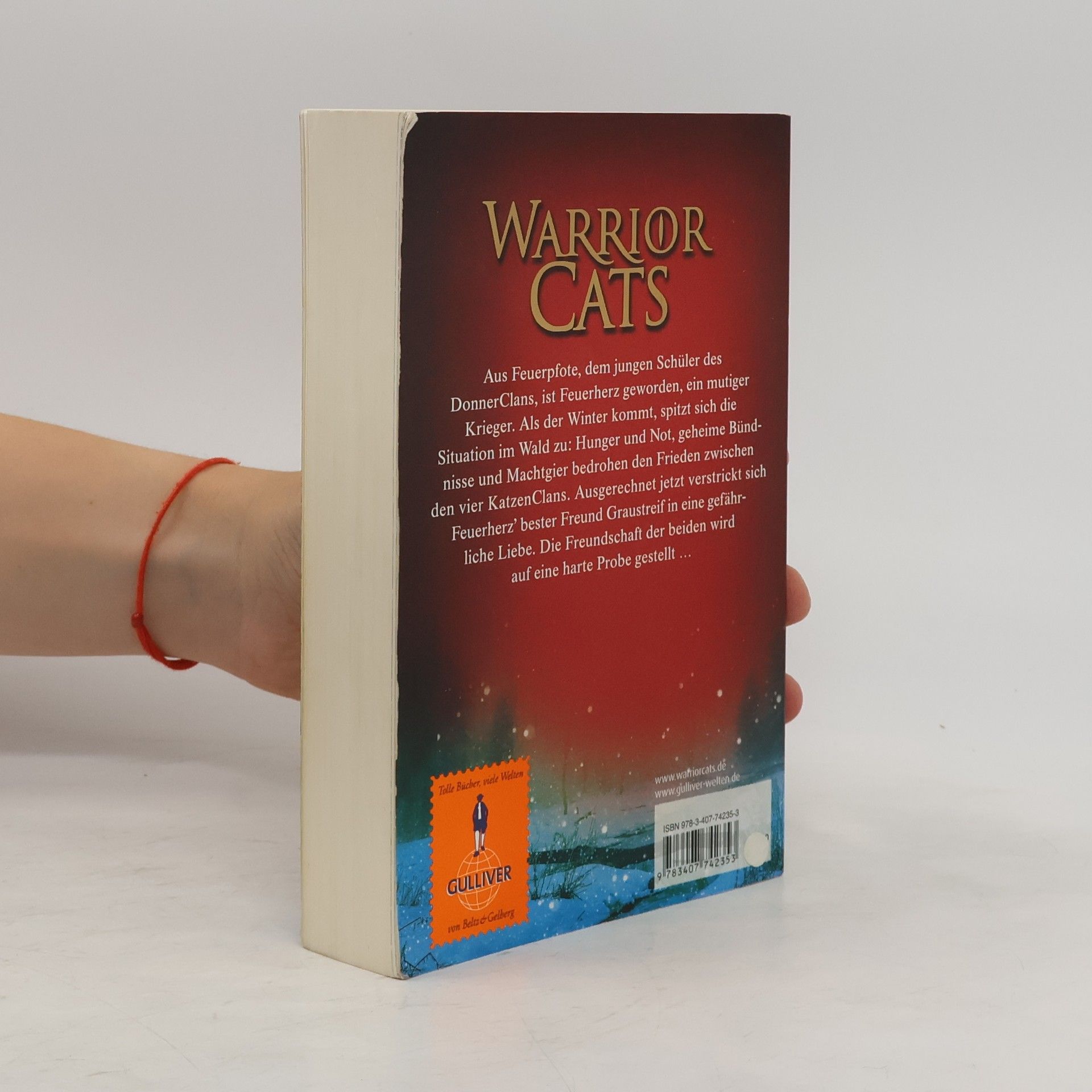 Erin Hunter Warrior Cats. Feuer und Eis
