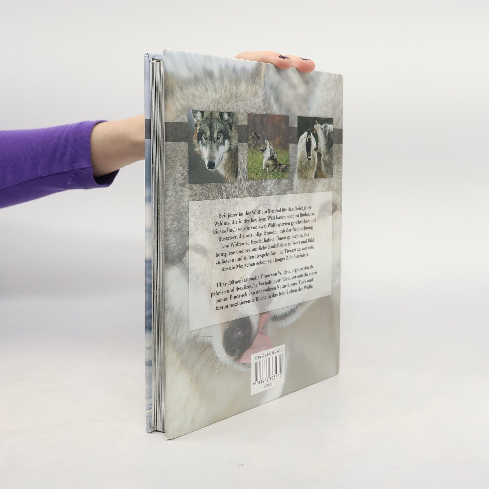 Autorenkollektiv Der Wolf. Wild und faszinierend