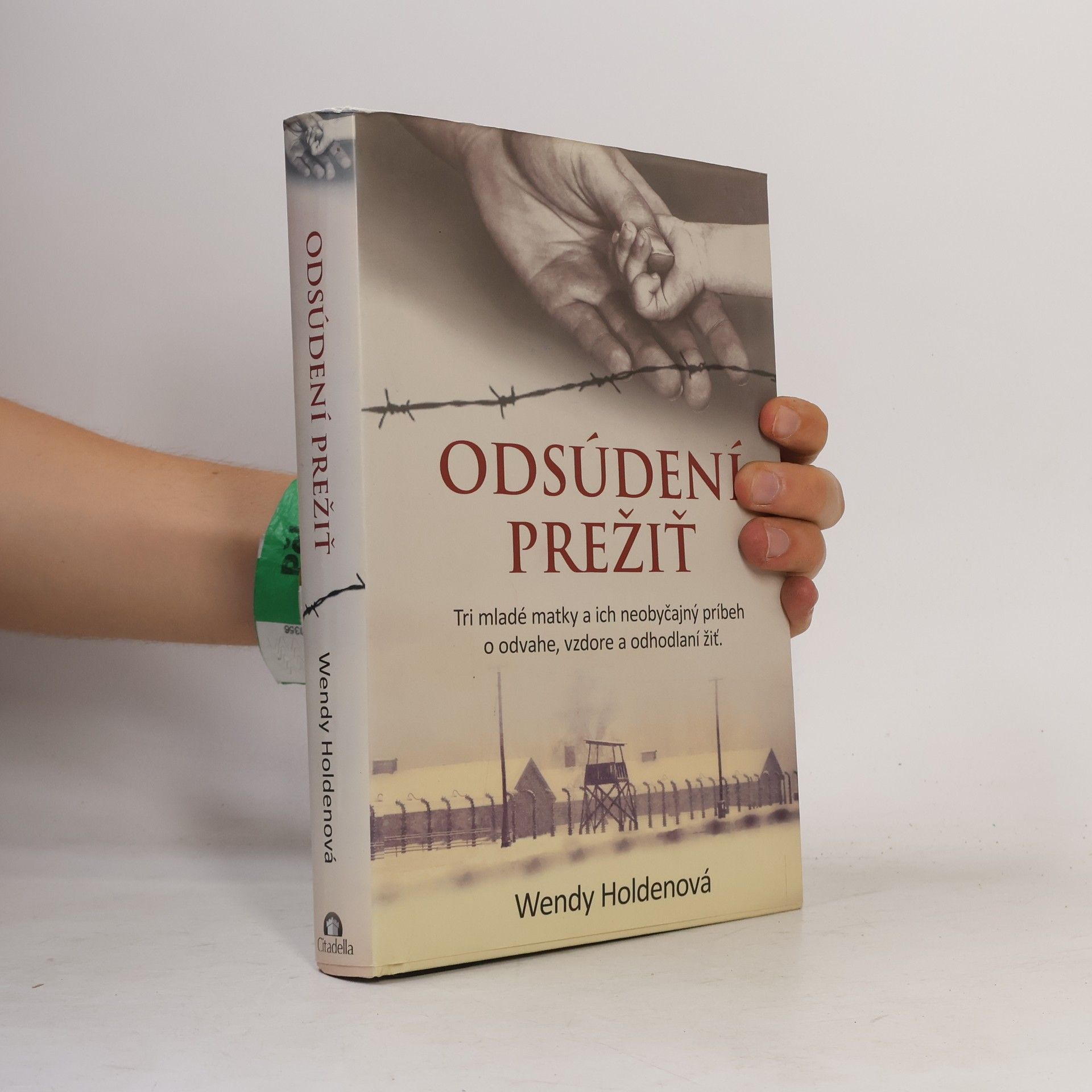 Holden Wendy Odsúdení prežiť