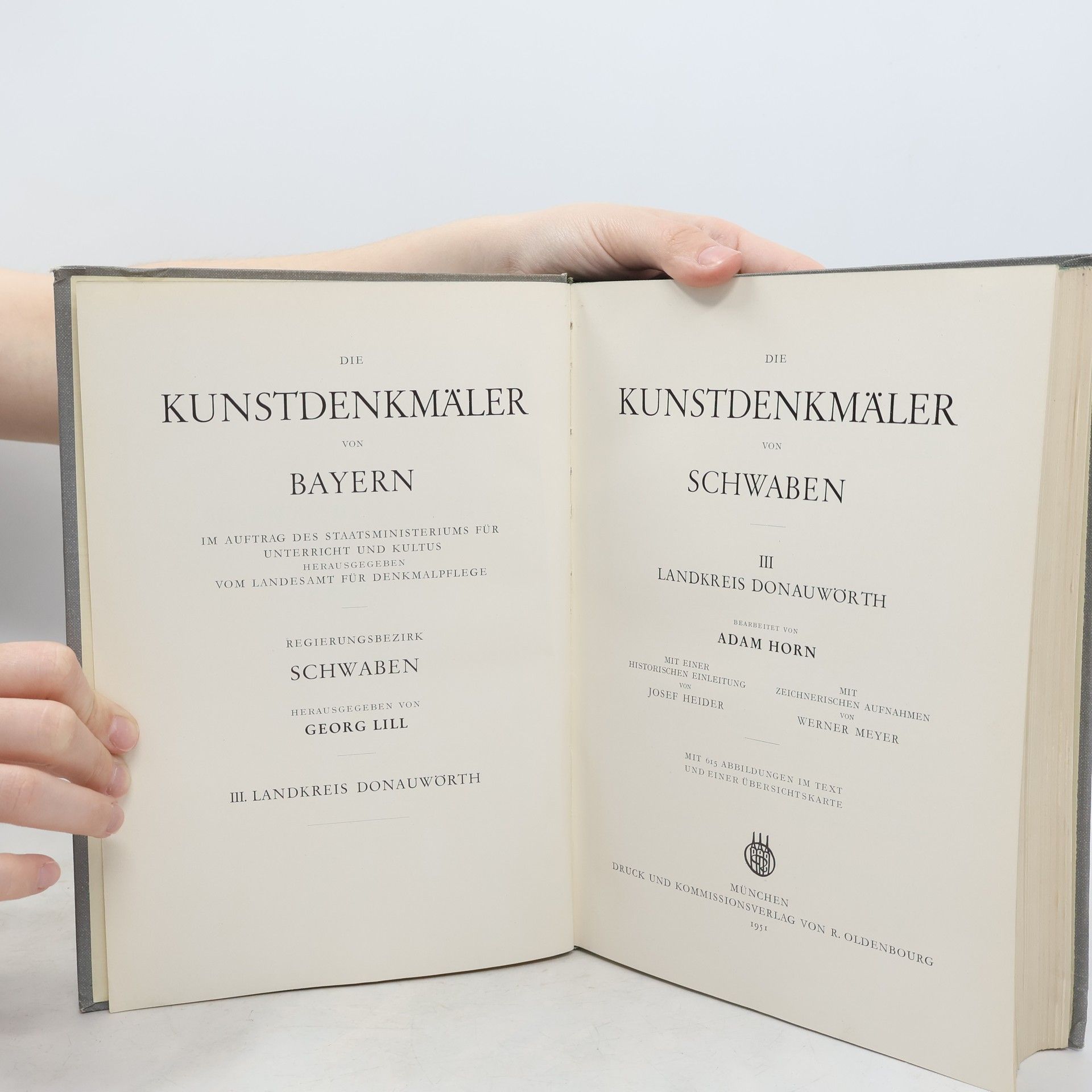 Adam Horn Die Kunstdenkmäler von Schwaben