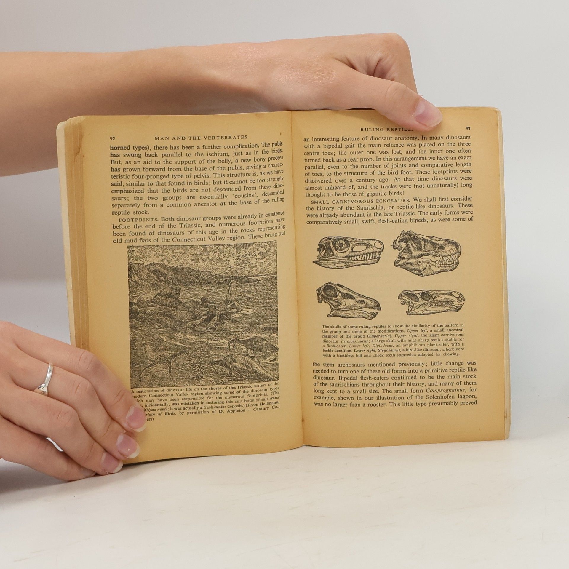 Alfred Romer Man and the vertebrates. Volume I
