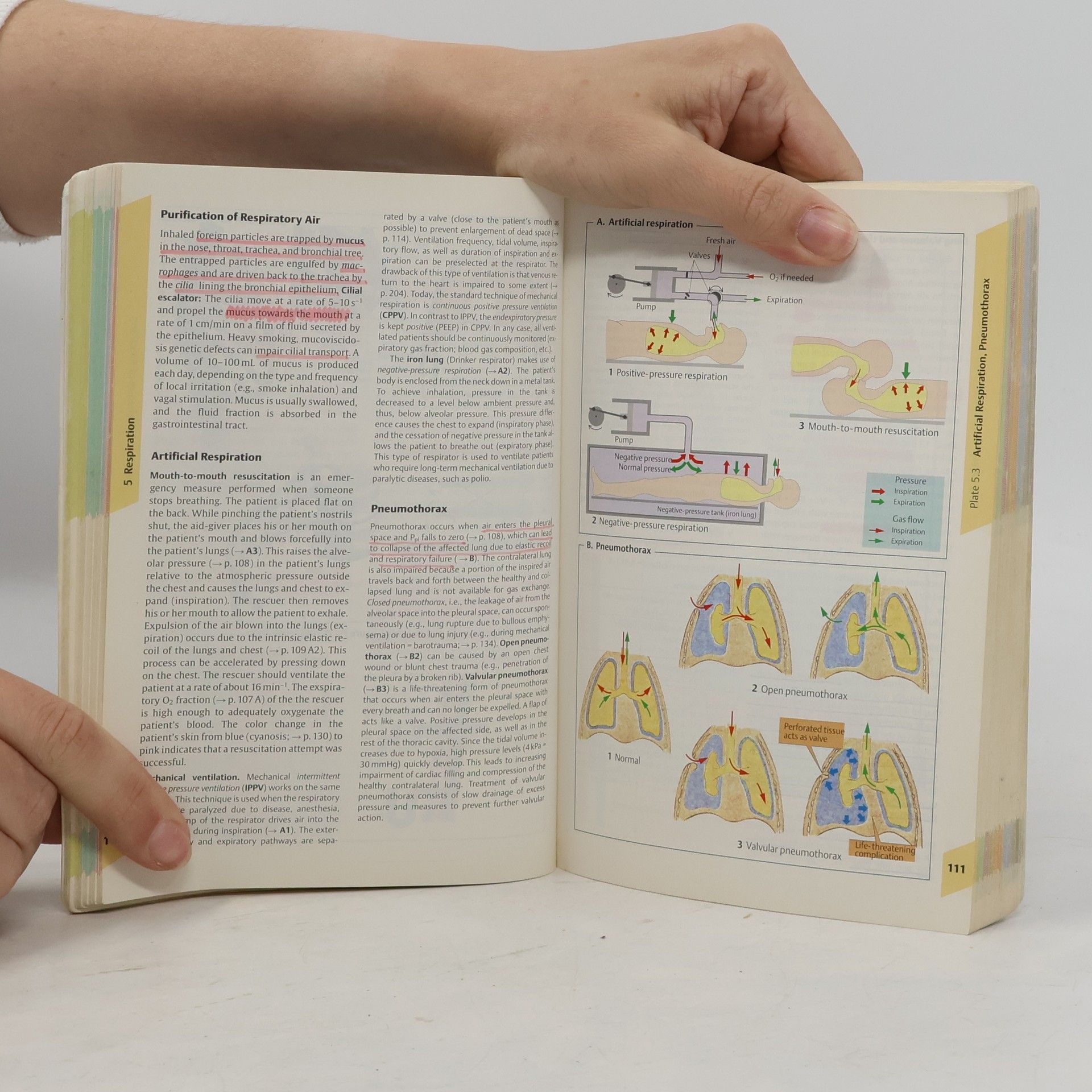 Agamemnon Despopoulos Color Atlas of Physiology