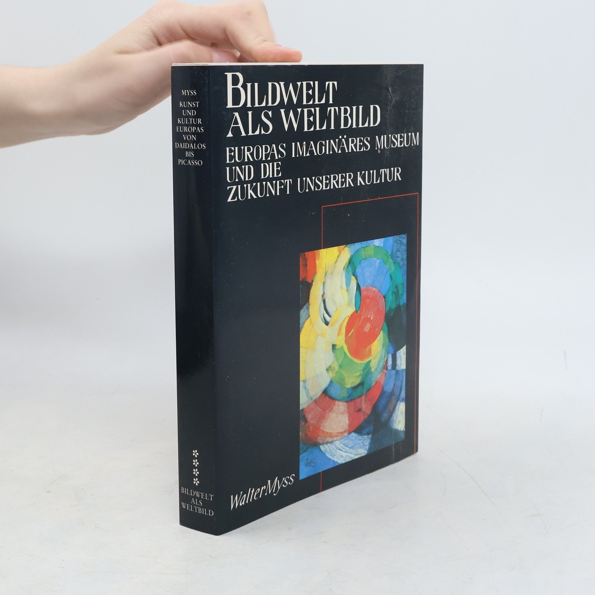 Walter Myss Bildwelt als Weltbild