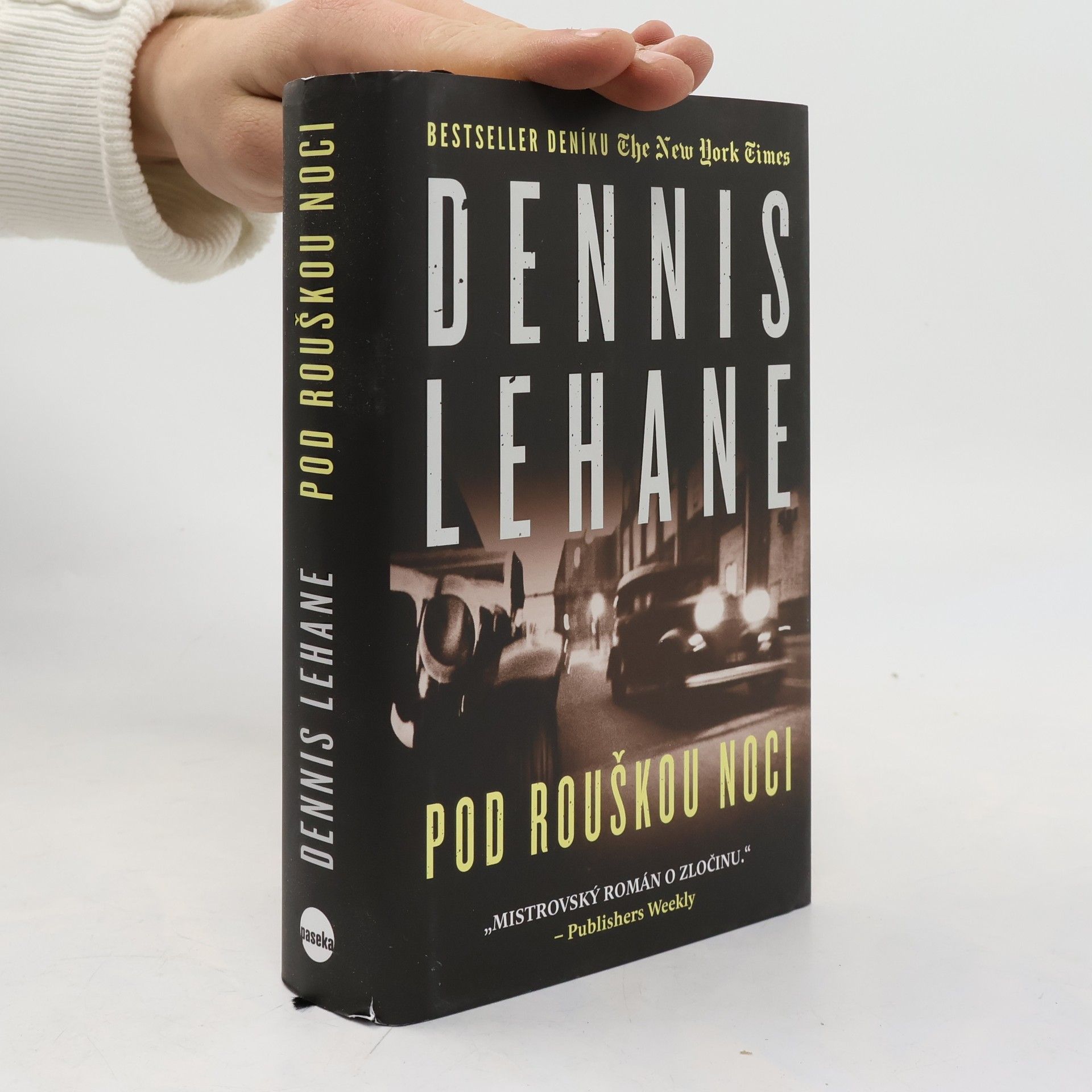 Dennis Lehane Pod rouškou noci