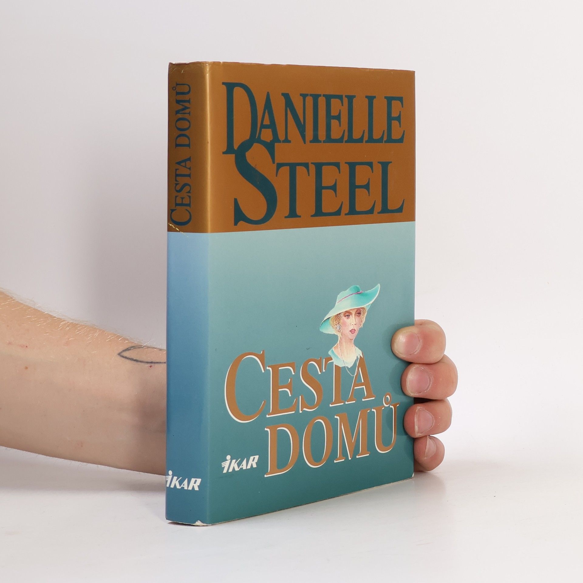 Danielle Steel Cesta domů