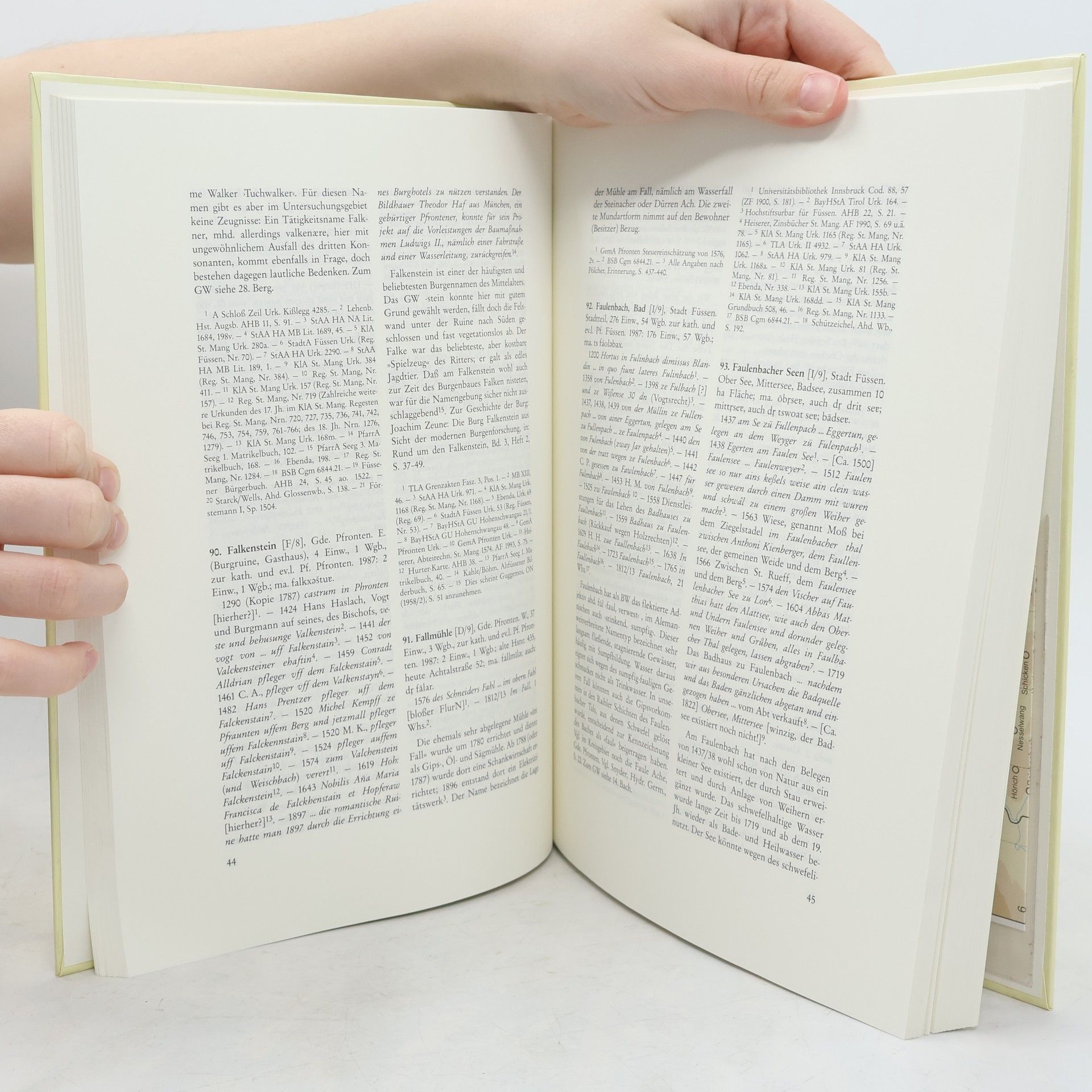 Thaddäus Steiner Historisches Ortsnamenbuch von Bayern: Schwaben - 9: Füssen