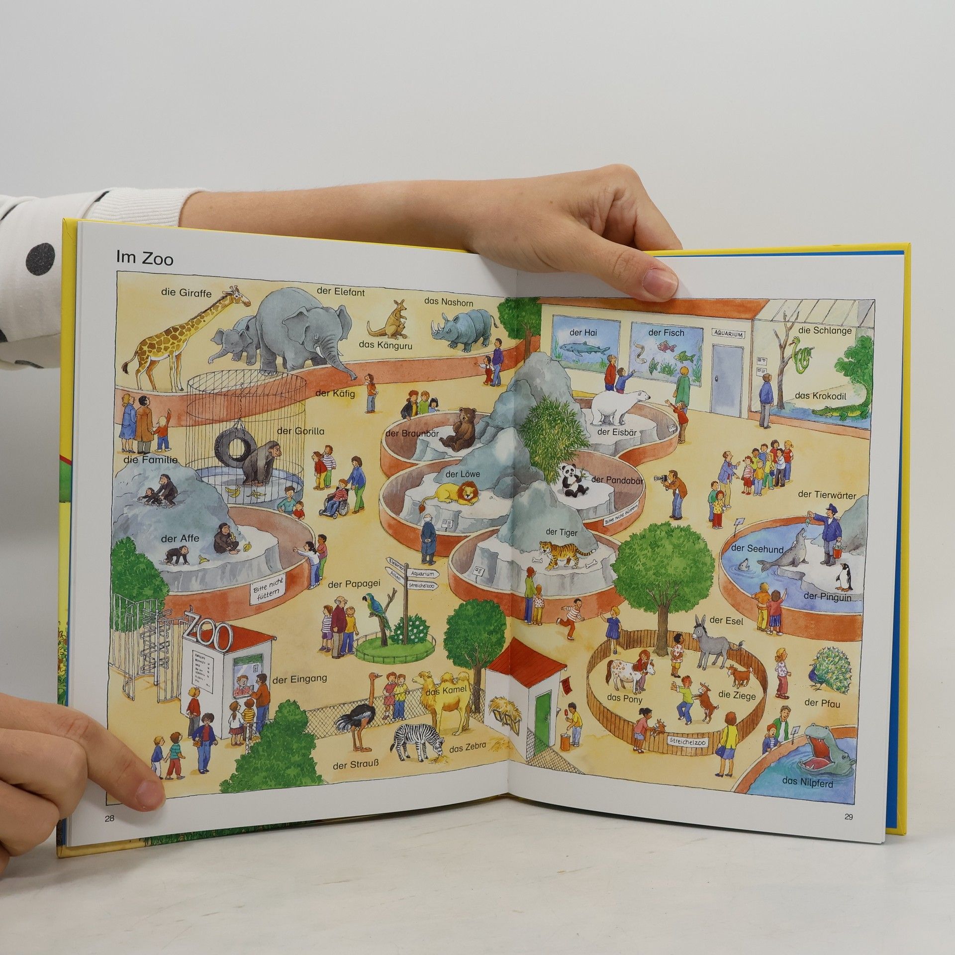 Angela Weinhold Mein Bildwörterbuch für den Kindergarten