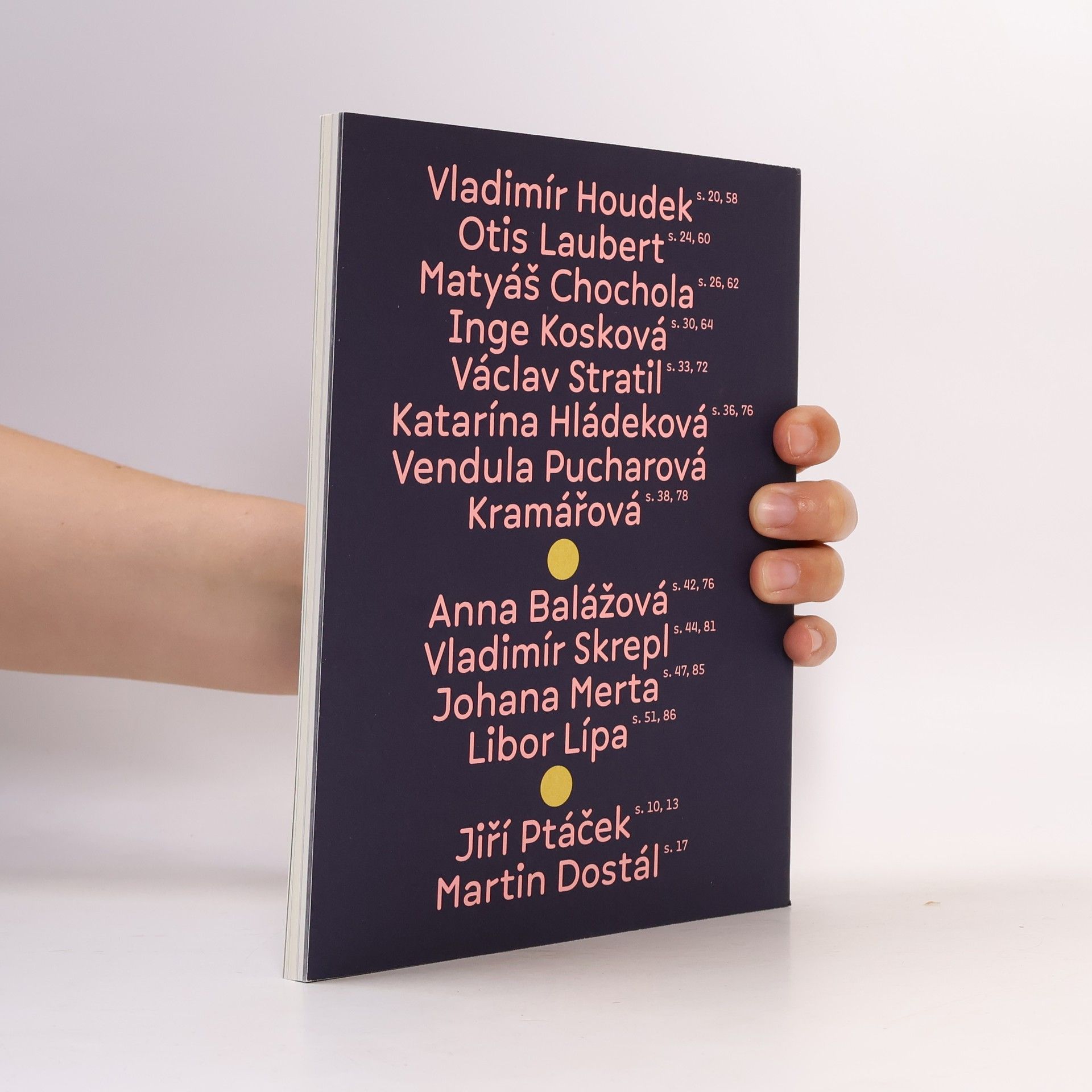 Jiří Ptáček Mikulovské výtvarné sympozium "Dílna" - 18: Být v krajině a malovat ji podle fotky
