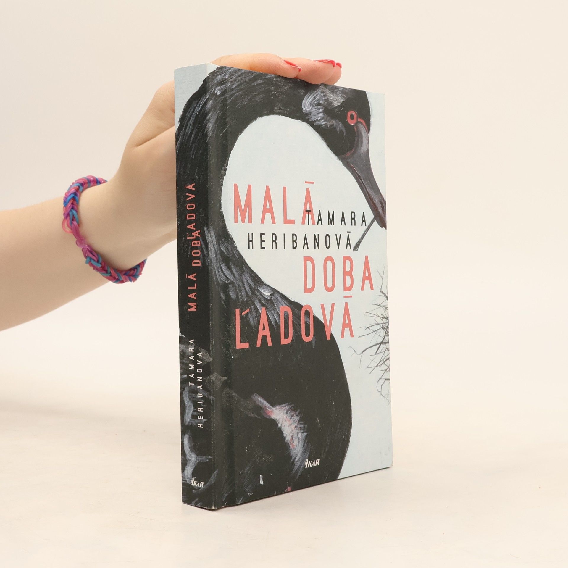 Tamara Heribanová Malá doba ľadová