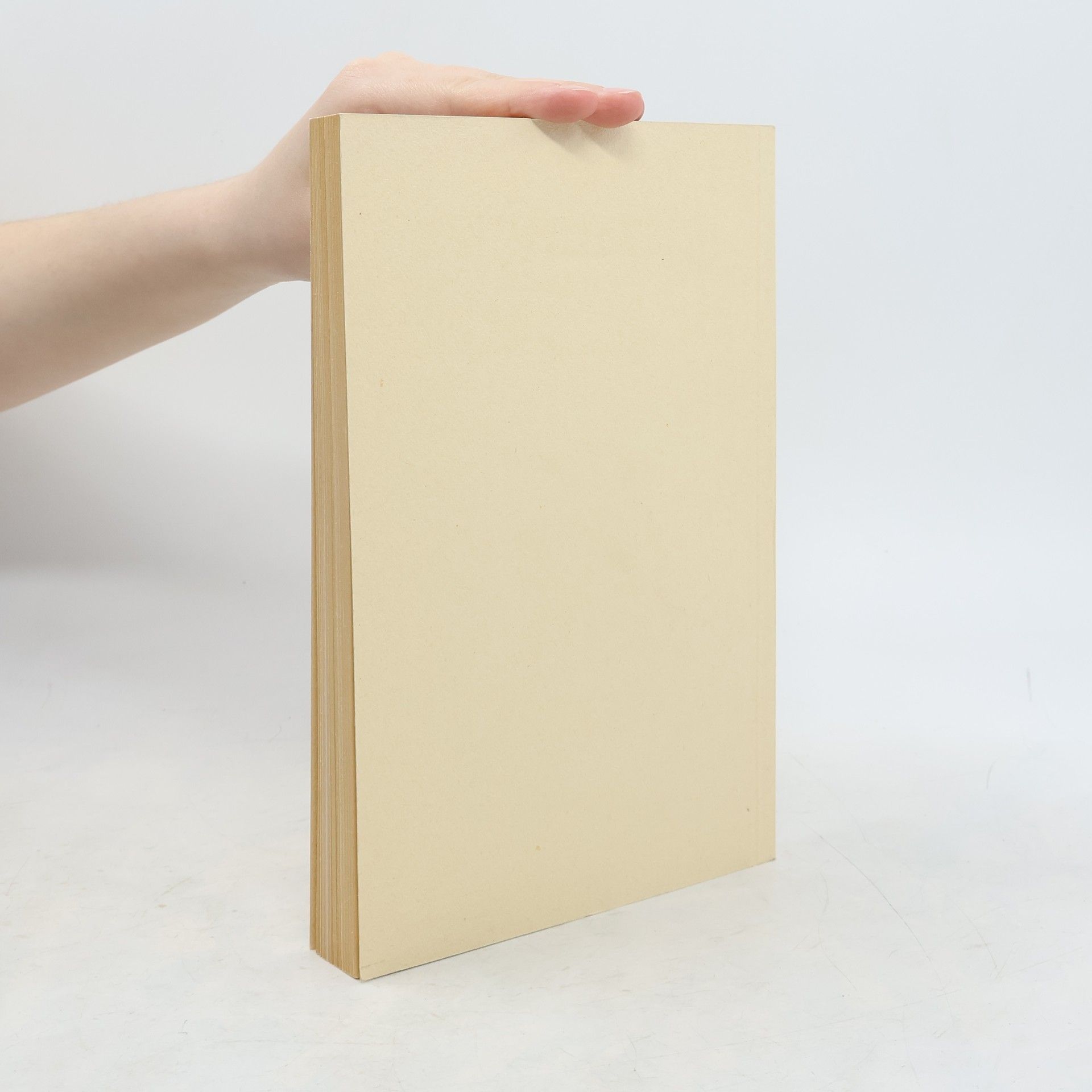 Collectif d'auteurs Festschrift zum zwölfhundertjährigen Jubiläum des heiligen Magnus.