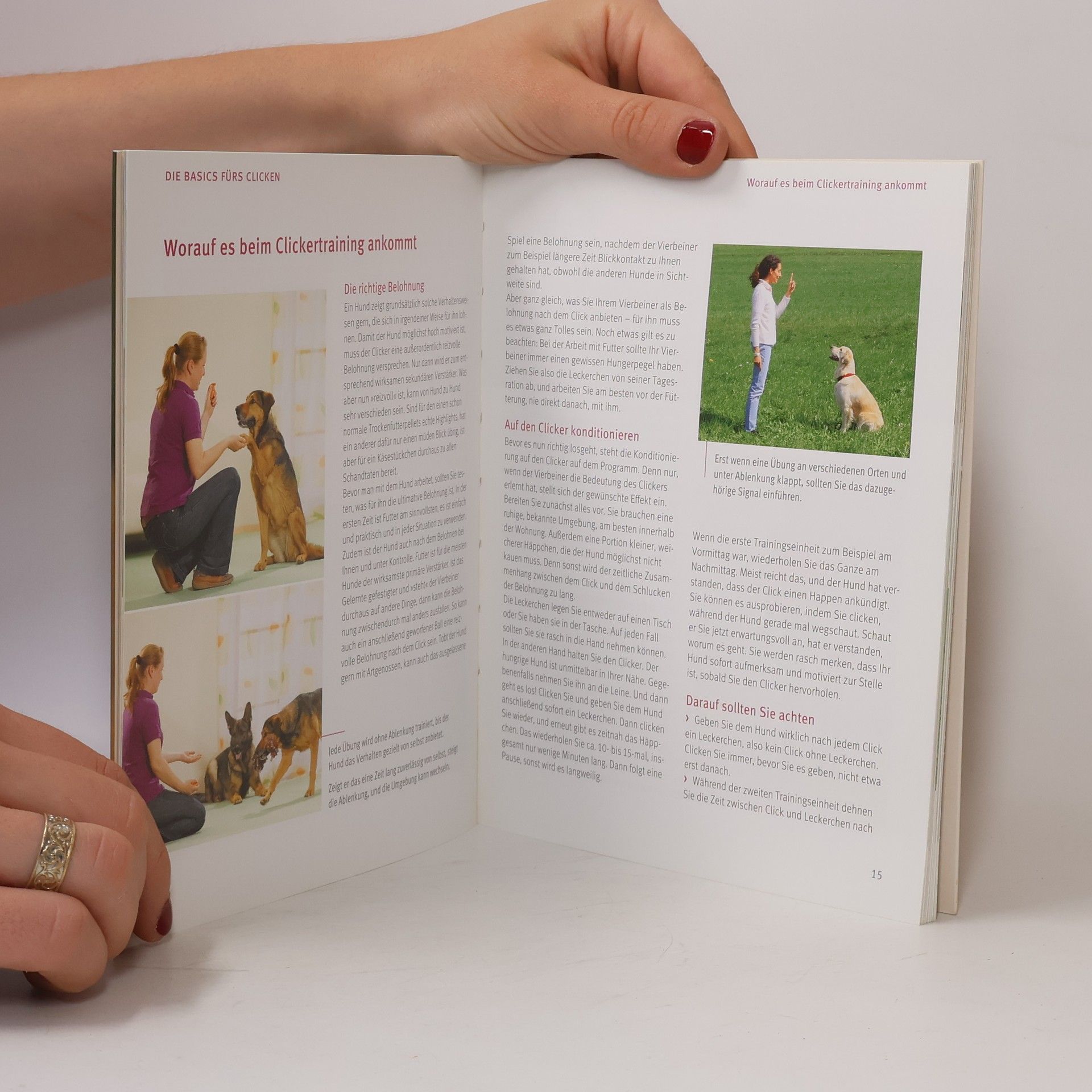 Katharina Schleg Kofler Hunde-Clickertraining