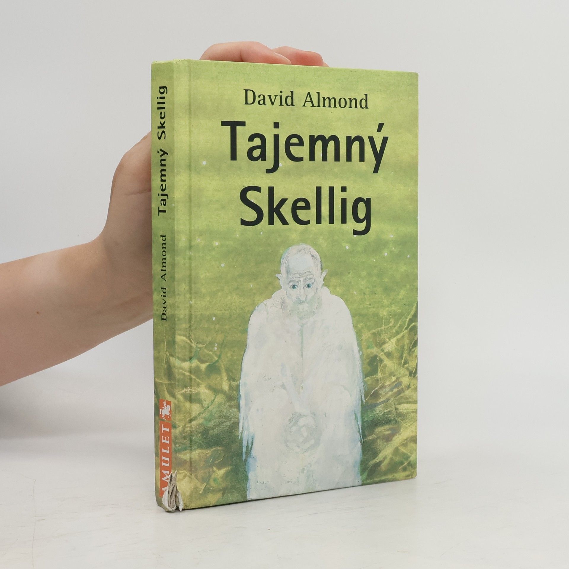 David Almond Tajemný Skellig