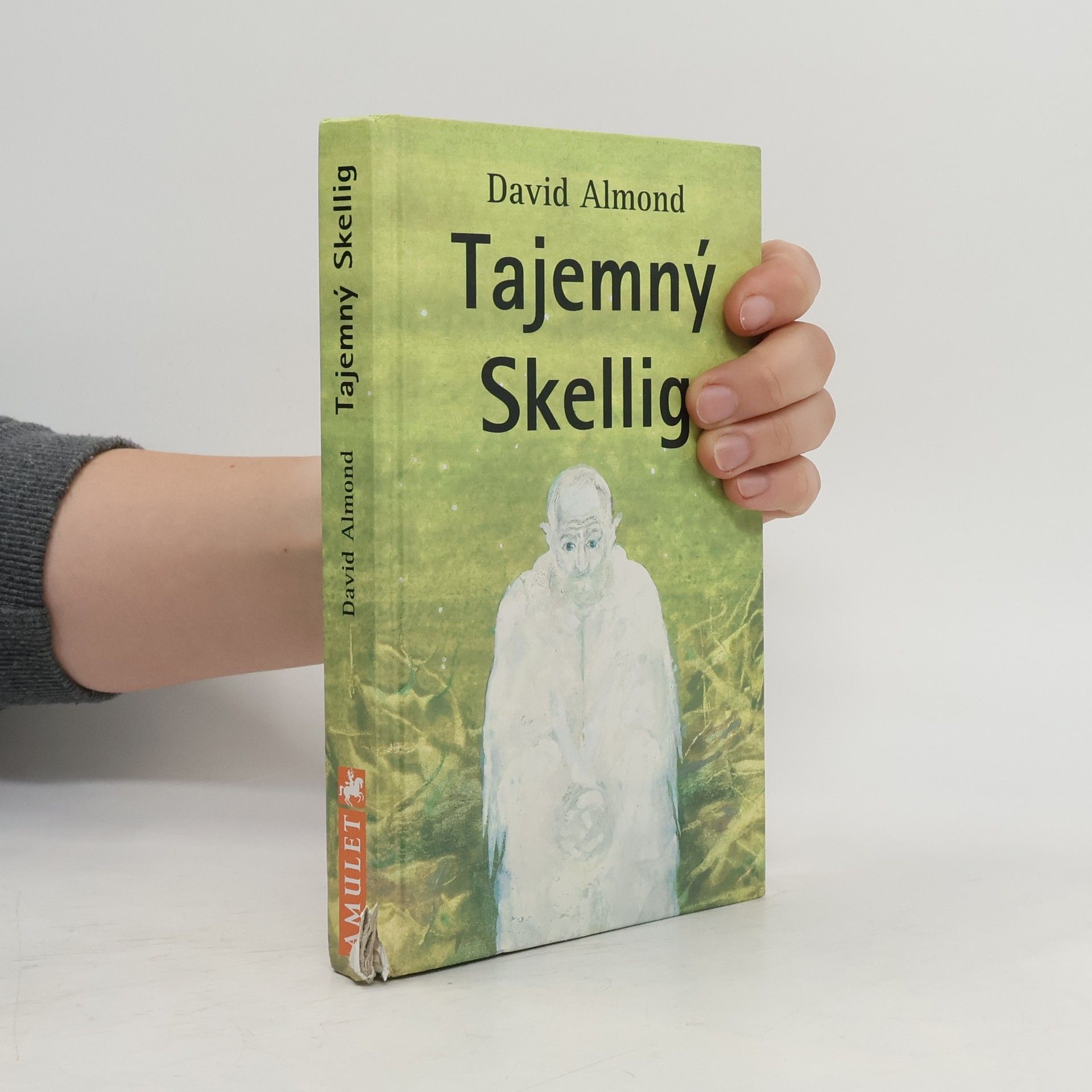 David Almond Tajemný Skellig