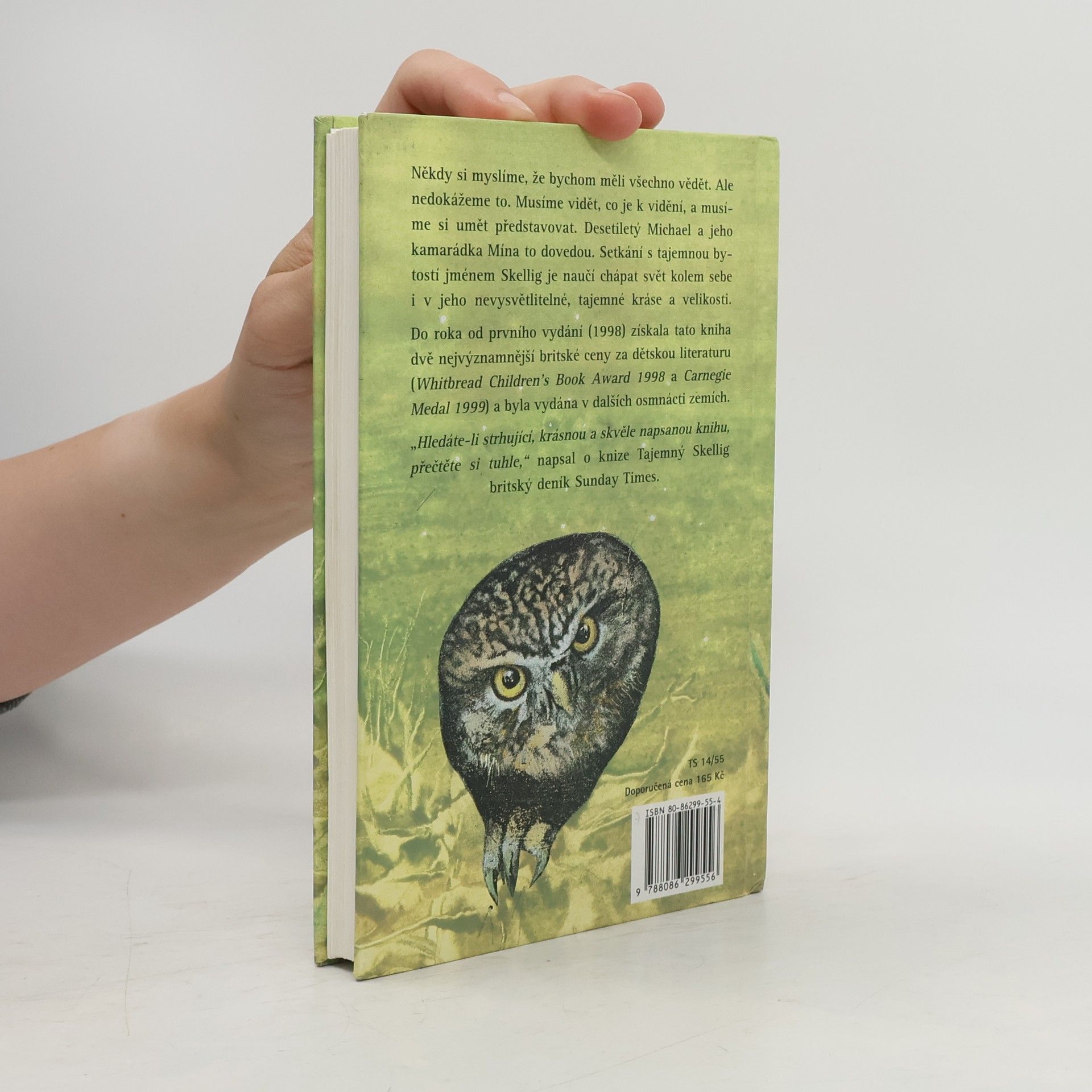 David Almond Tajemný Skellig
