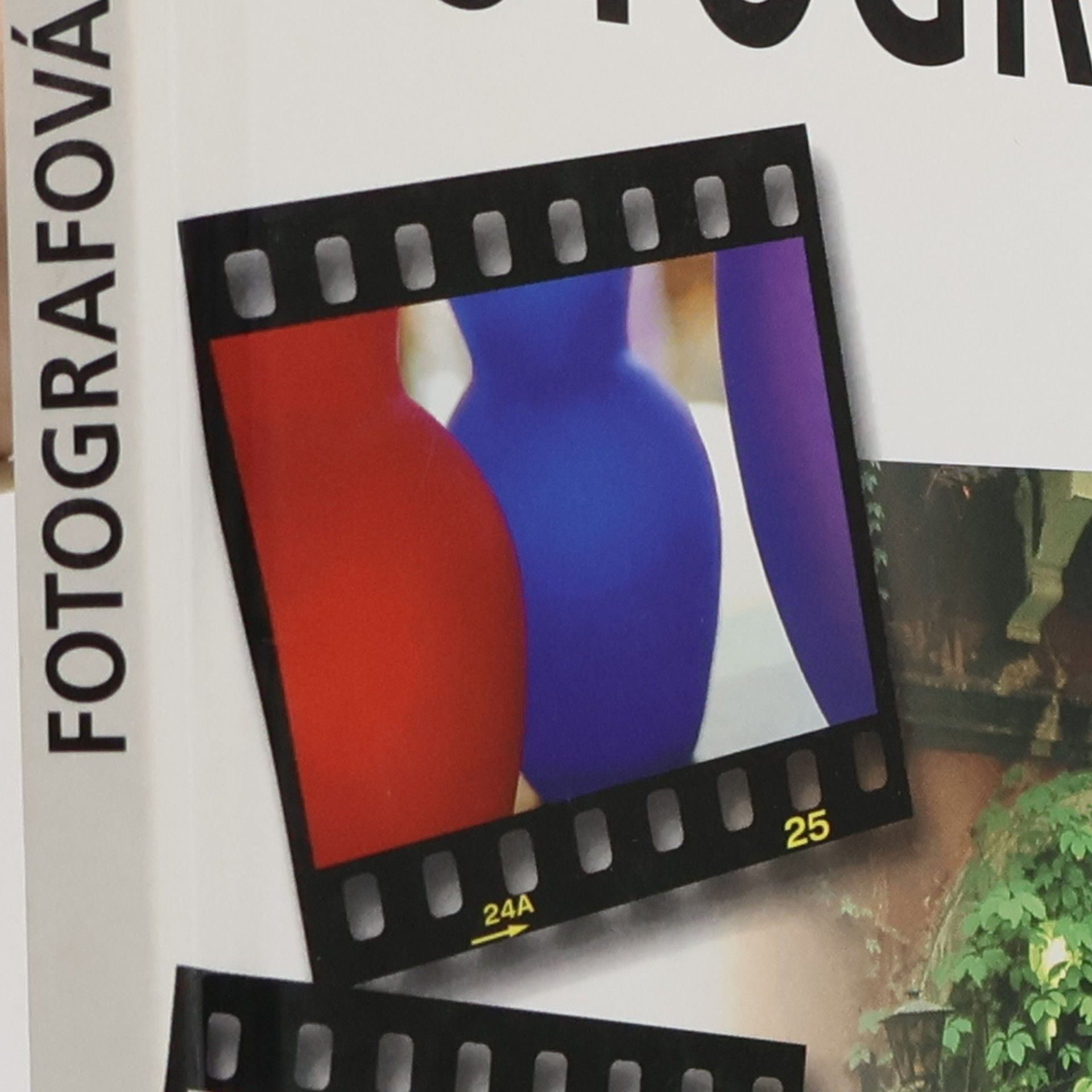 Sue Hillyard Fotografování v kostce