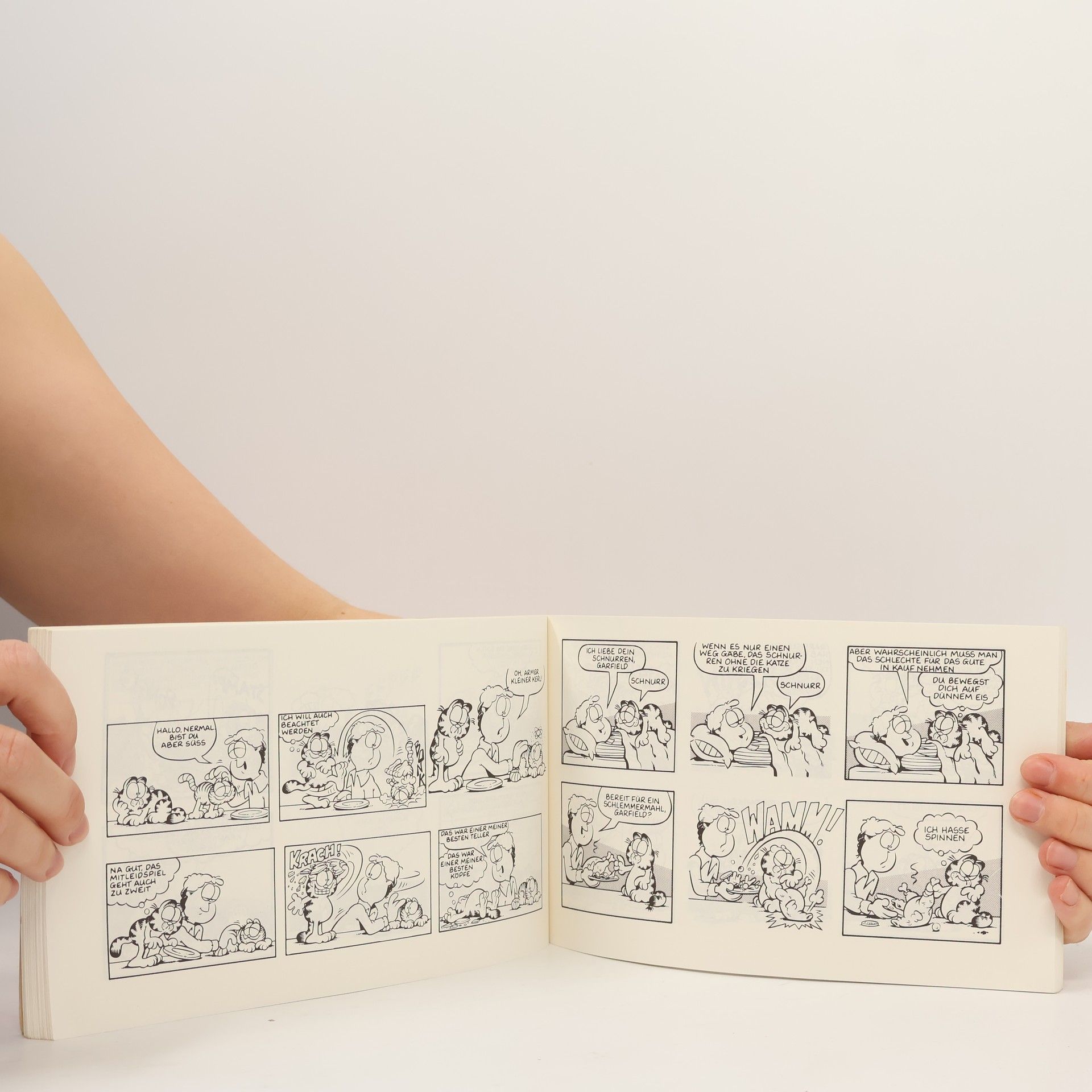 Jim Davis Garfield ist Spitze 11