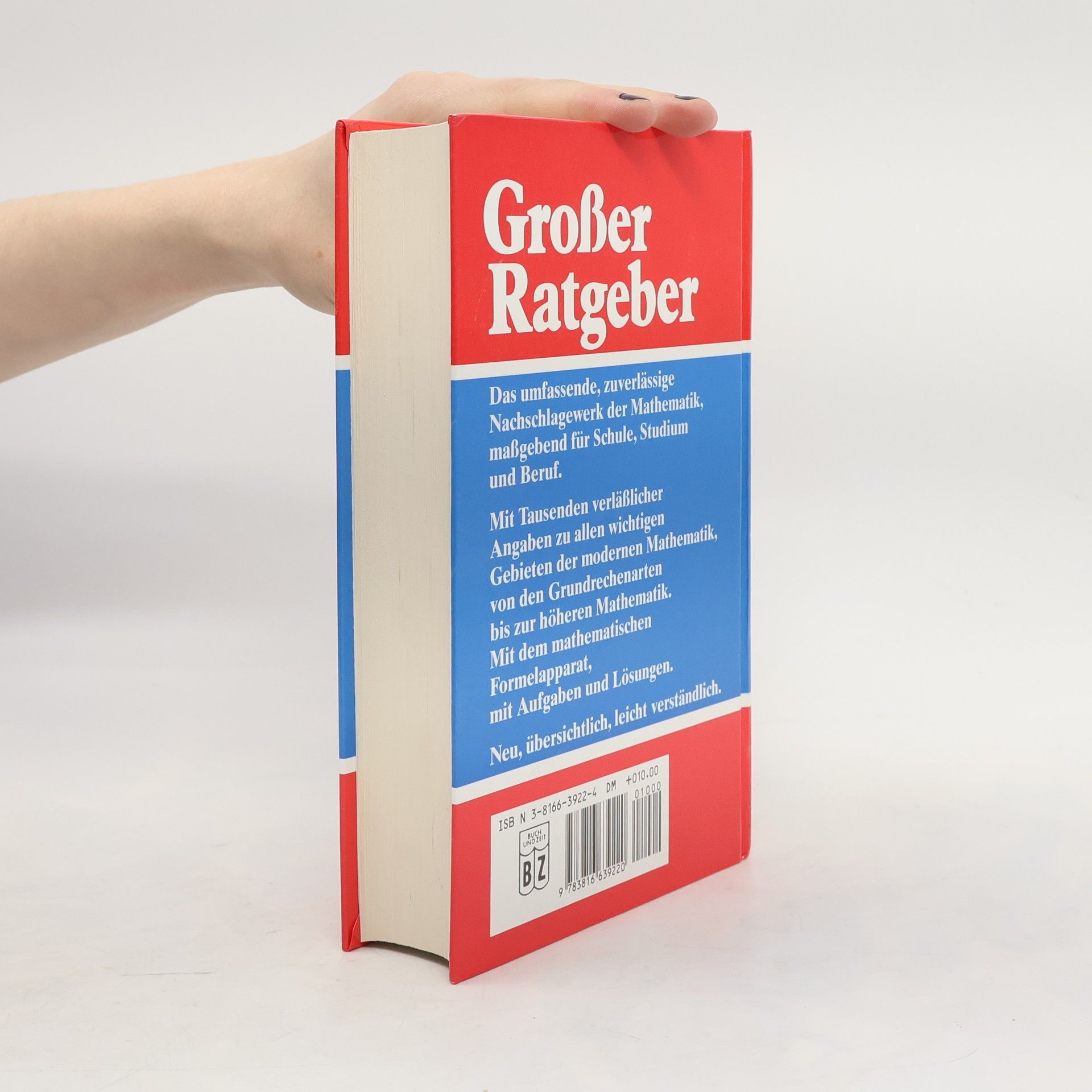 Autorenkollektiv Großer Ratgeber. Mathematik
