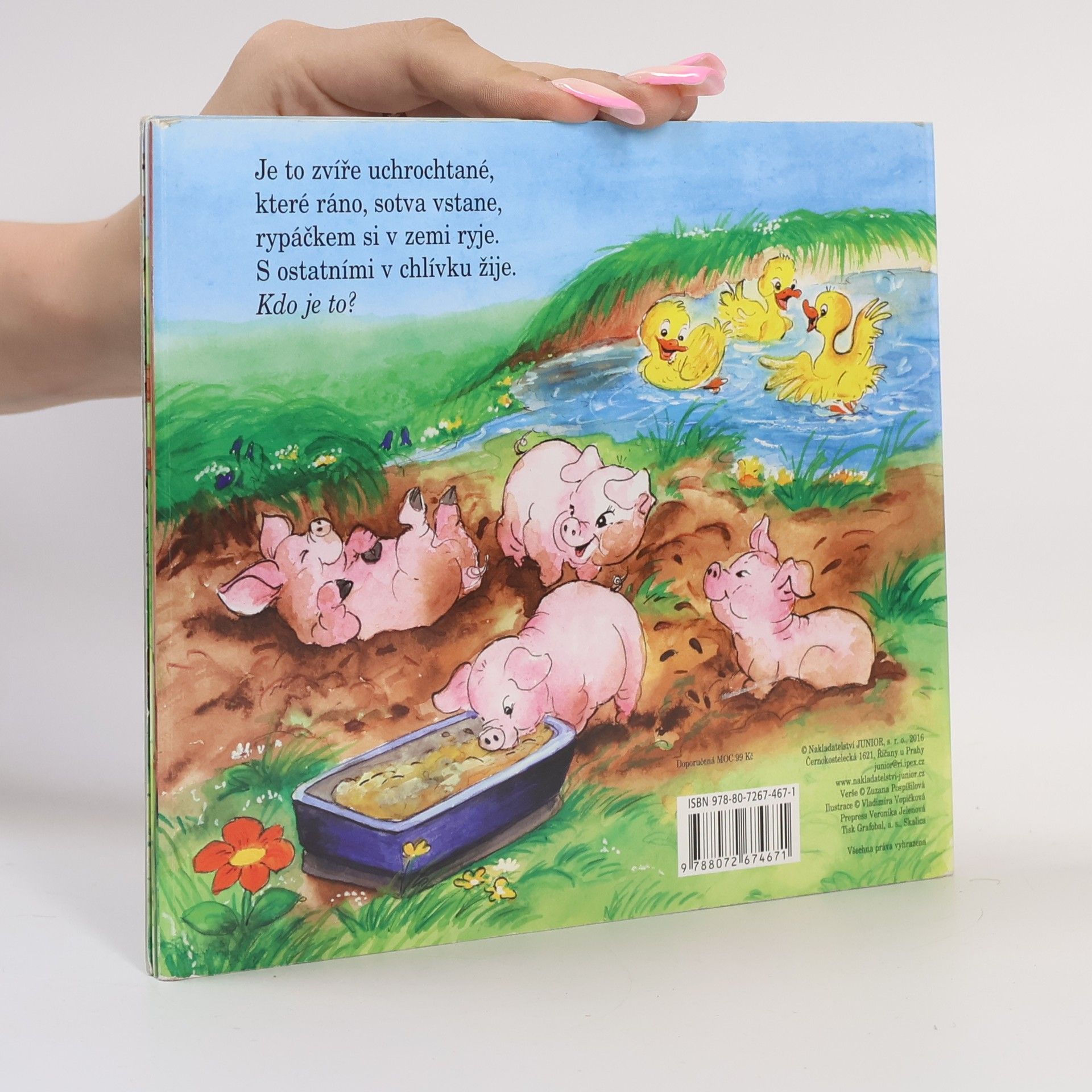 Zuzana Pospíšilová Hádanky ze dvorku