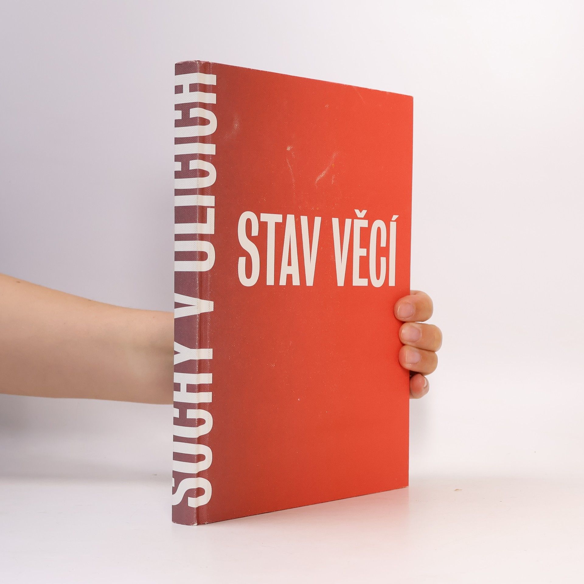 Karel Císař Stav věcí - Sochy v ulicích