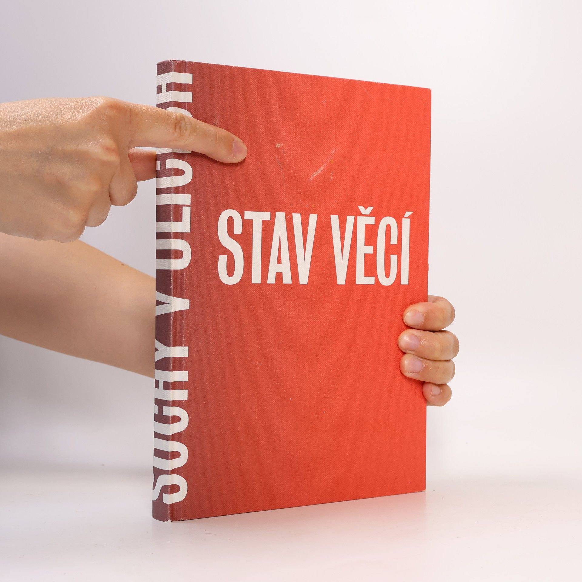 Karel Císař Stav věcí - Sochy v ulicích