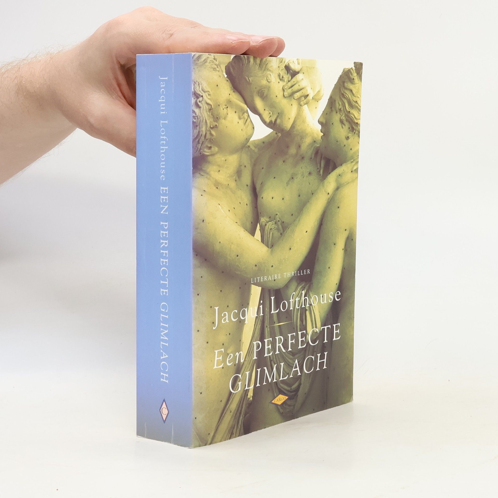 Jacqui Lofthouse Een perfecte glimlach