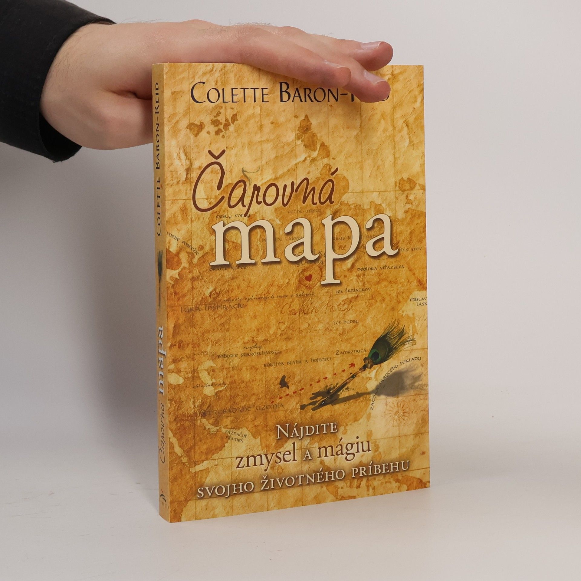 Colette Baron-Reid Čarovná mapa