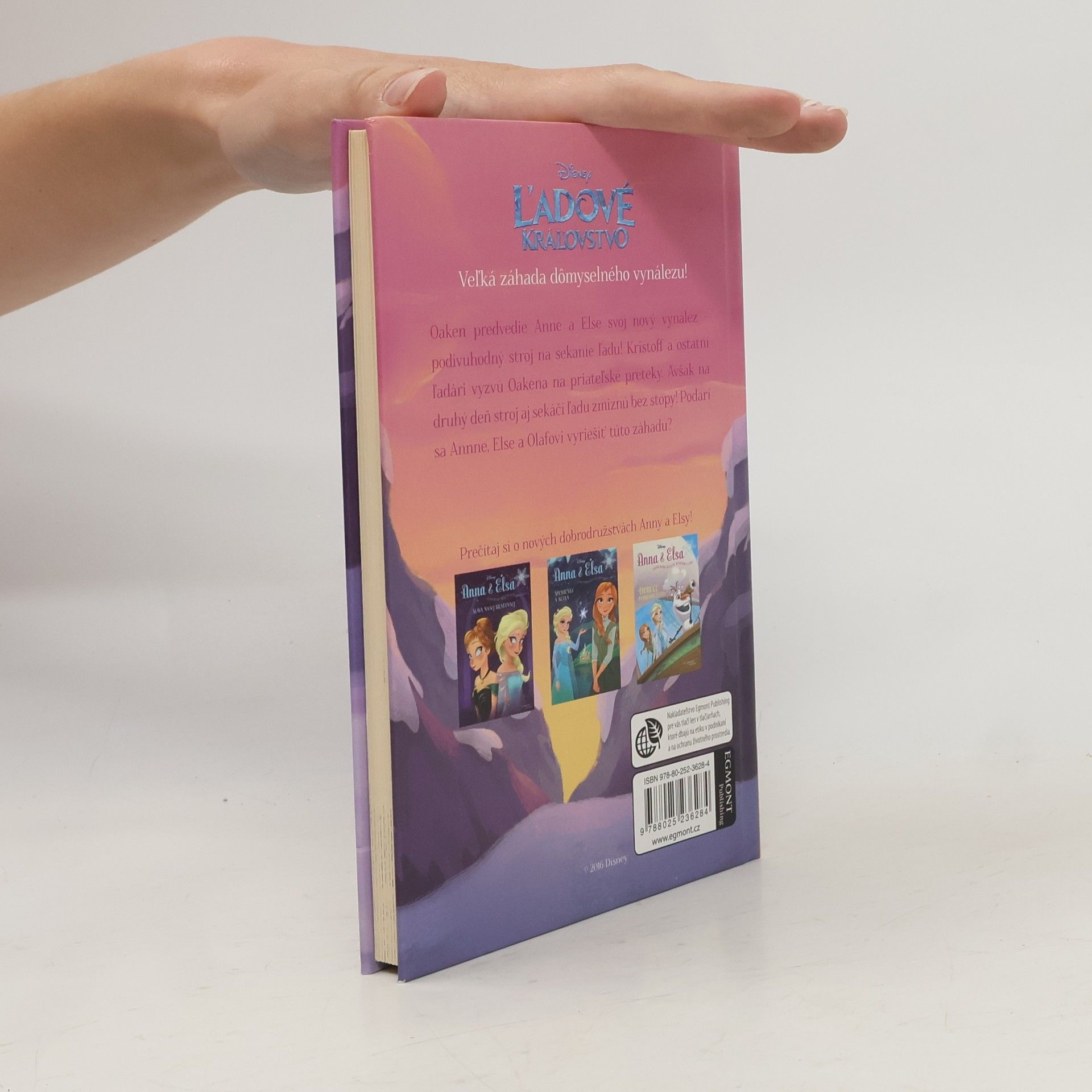 Erica David Podivuhodný ľadostroj