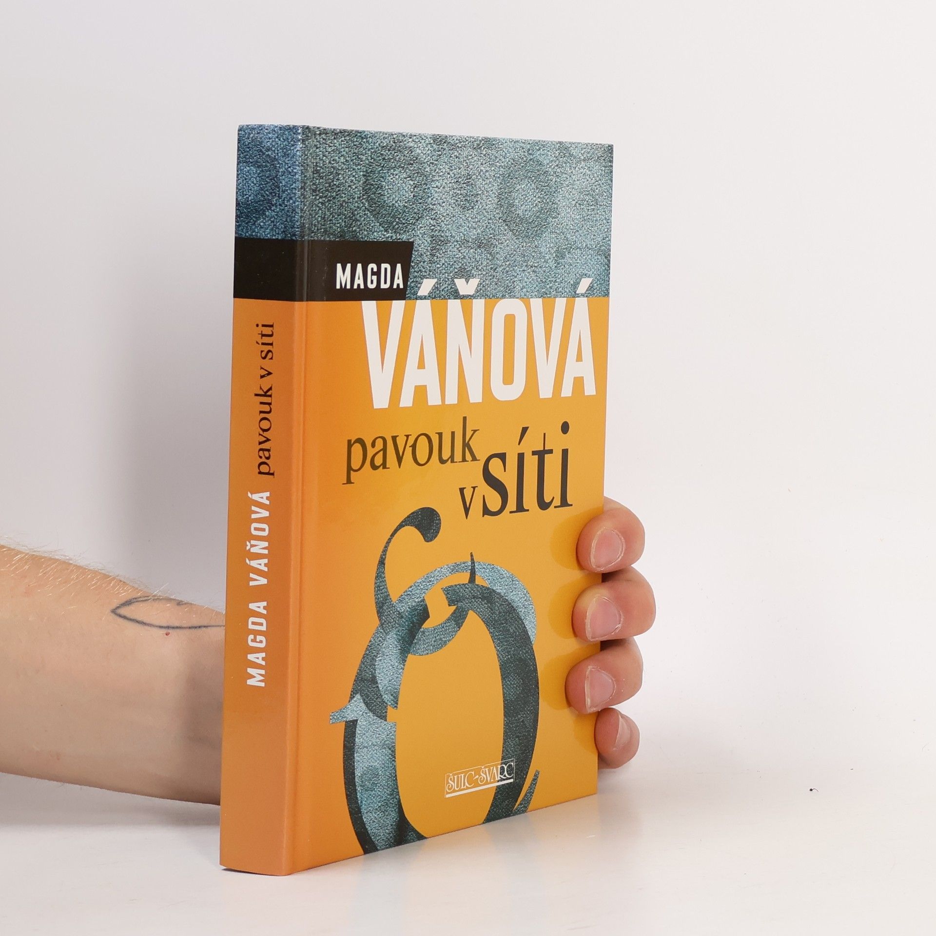Váňová Magda Pavouk v síti