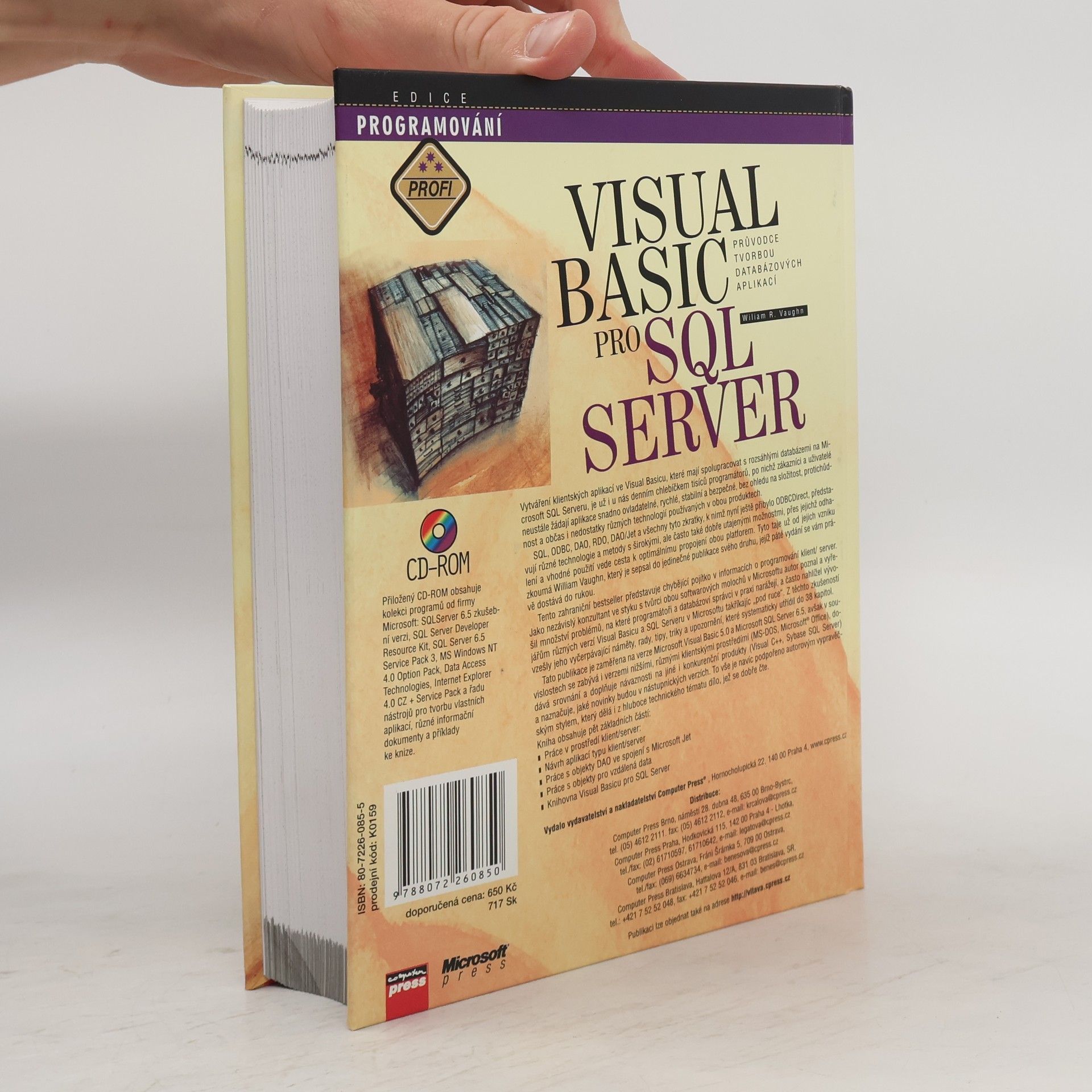 David Krásenský Visual Basic pro SQL Server