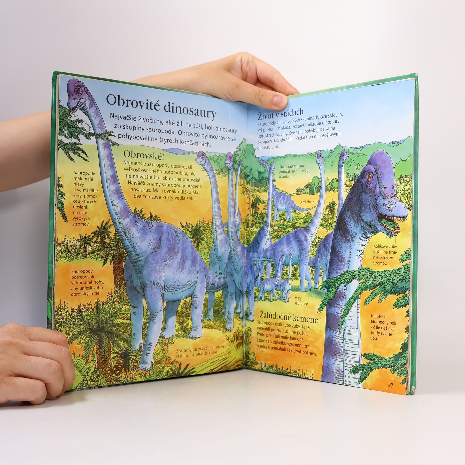 Sam Taplin Dinosaury a prehistorický život